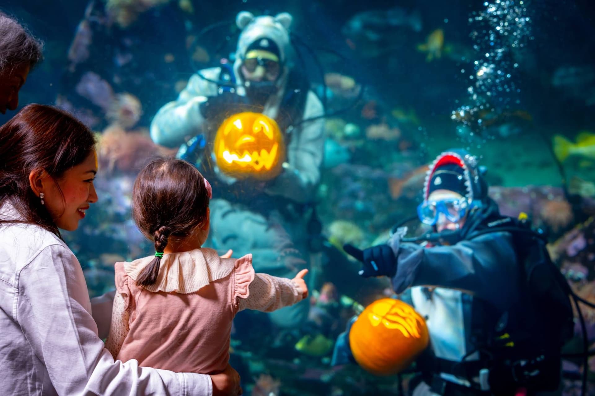 밴쿠버 아쿠아리움에서 펼쳐지는 가을의 마법, 'Fin-tastic Fall Days'로 특별한 계절을 만나보세요!-이미지