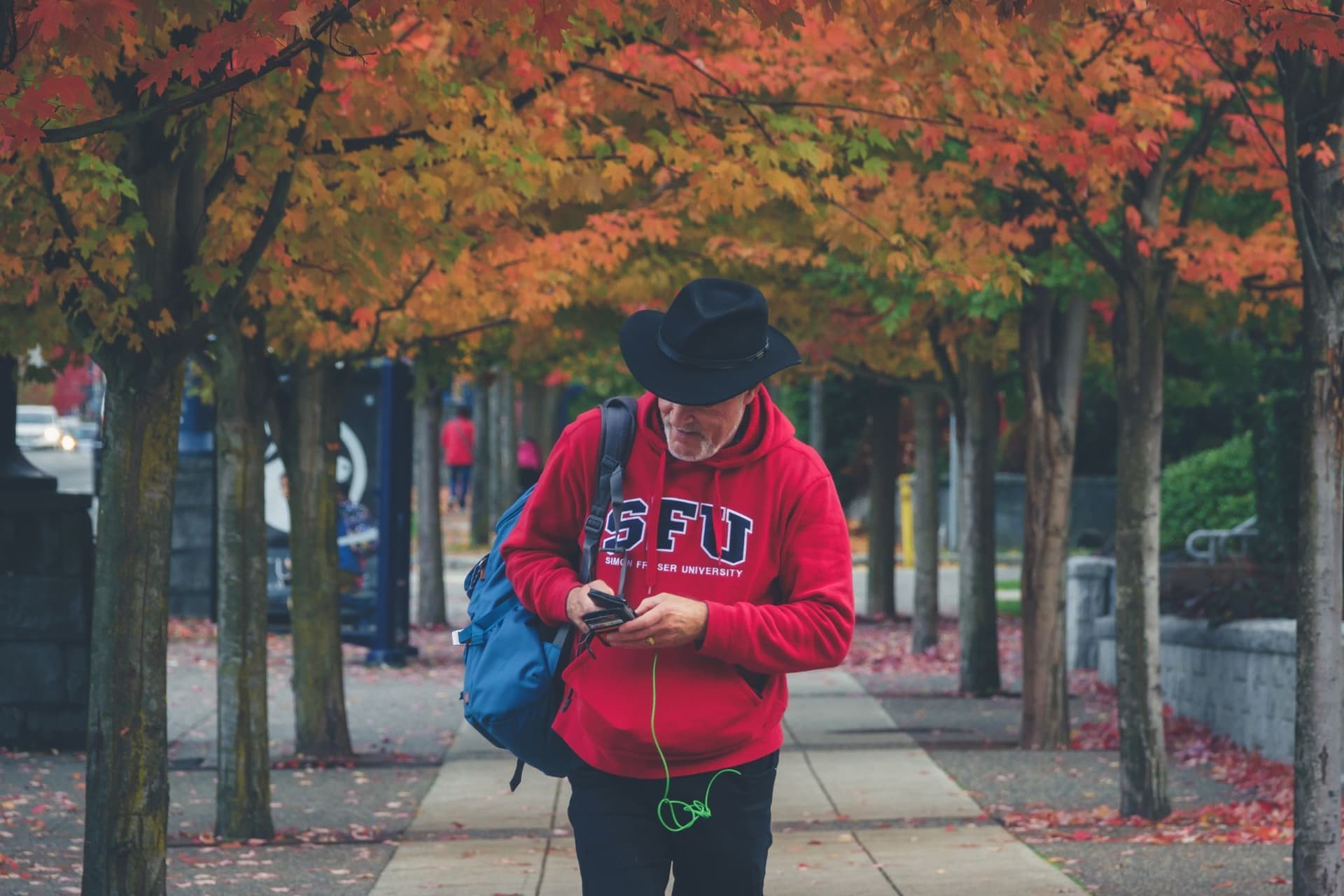 밴쿠버 가을의 소리 풍경: 안개 속 경적부터 까마귀 대이동까지-이미지