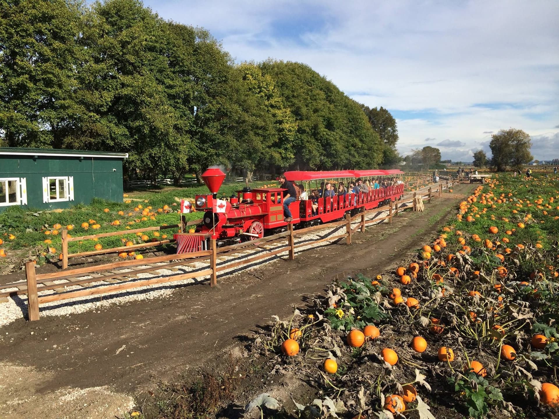 밴쿠버 추수감사절 연휴, 이곳들은 문 열고 이곳들은 쉰다!-이미지