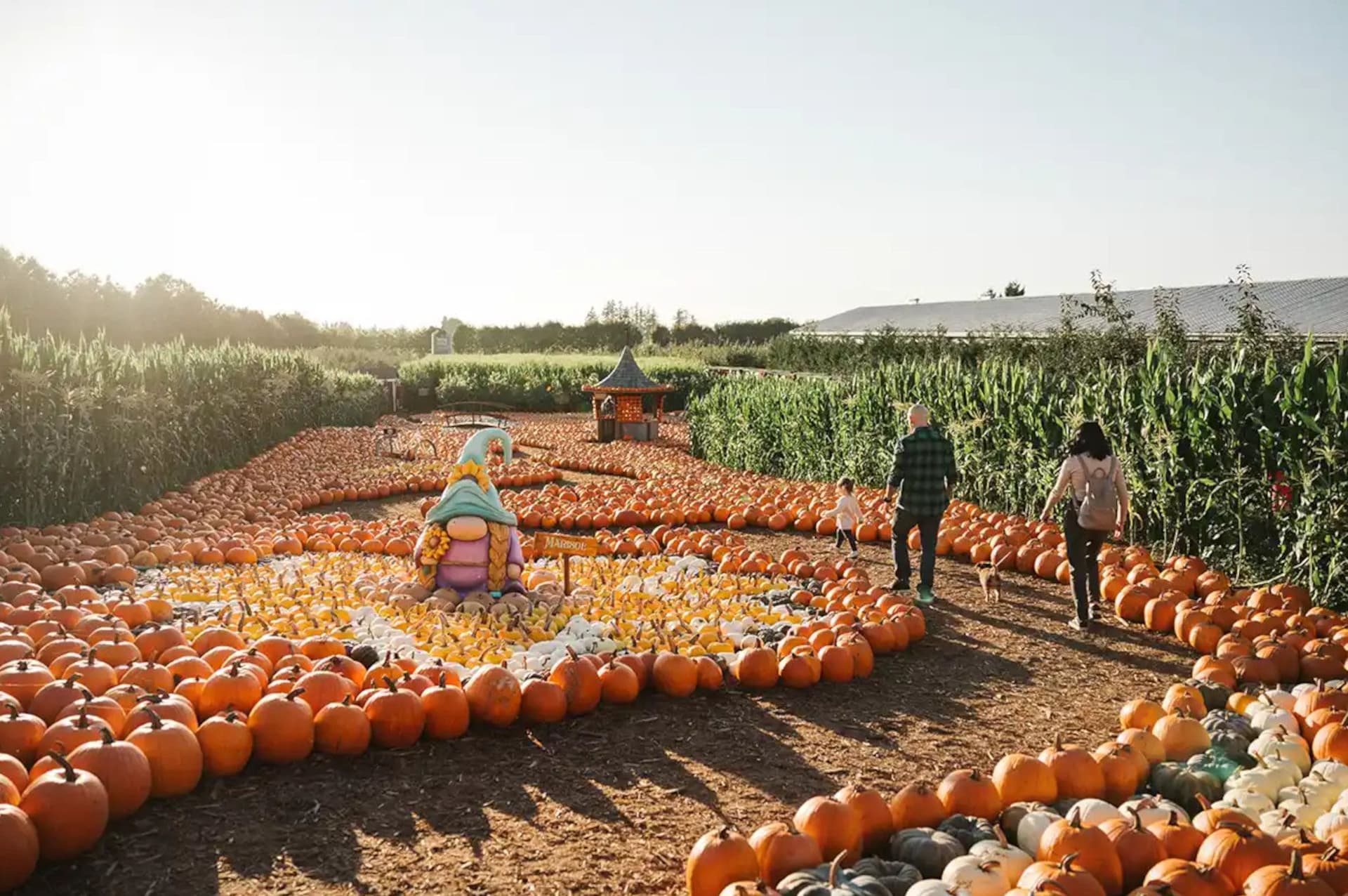밴쿠버에서 즐기는 9월 셋째 주 최고의 이벤트 20선!-이미지