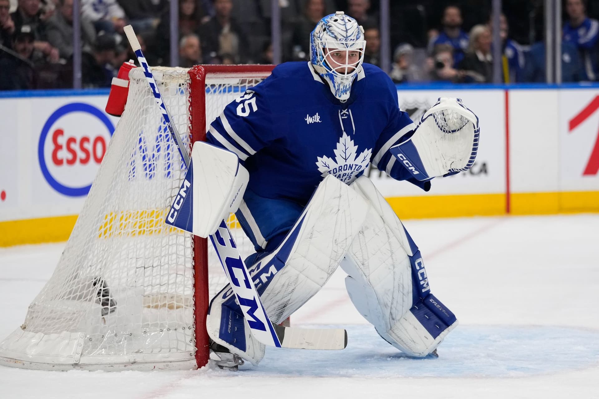 Toronto Maple Leafs, 데니스 힐데비와 3년 저렴 계약 체결! 미래 골텐딩의 첫 걸음-이미지