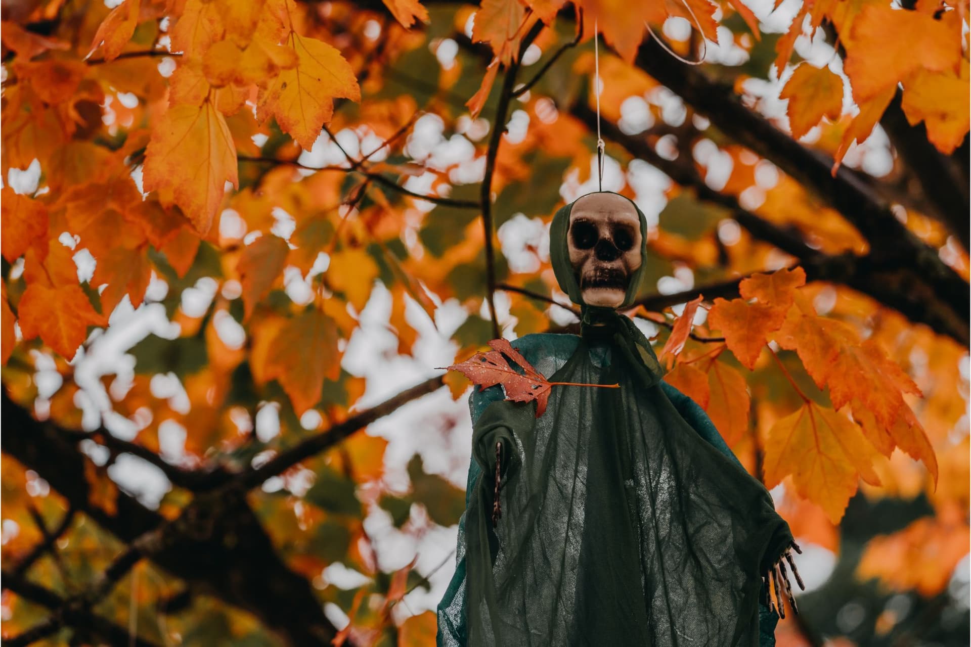 Metro Vancouver에서 가장 스릴 넘치는 할로윈 데이트 장소 추천!-이미지