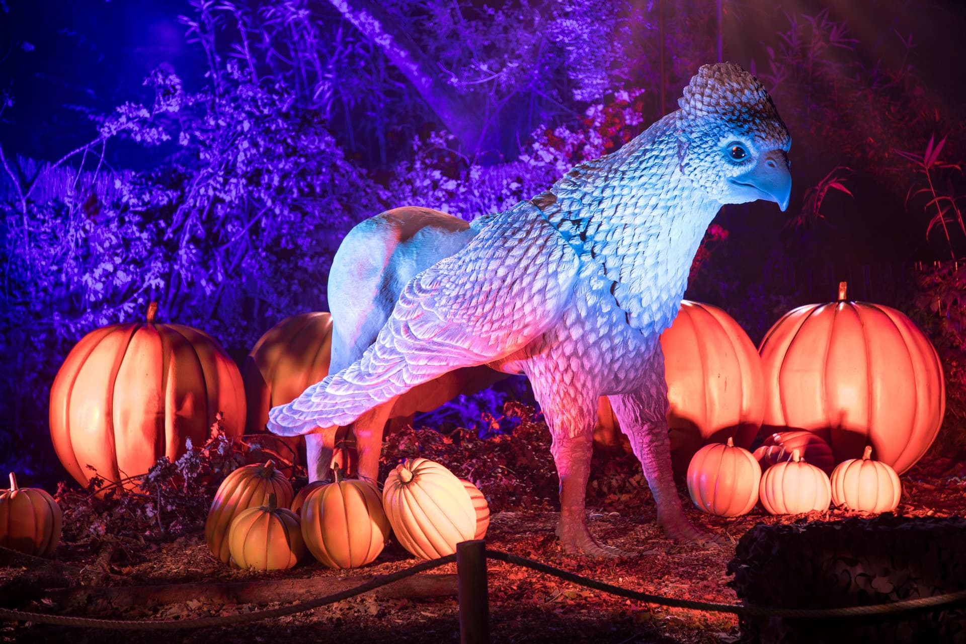 밴쿠버 공원위원회, 해리 포터 행사에 대한 사과 발표…논란 속 공개 토론 진행-이미지