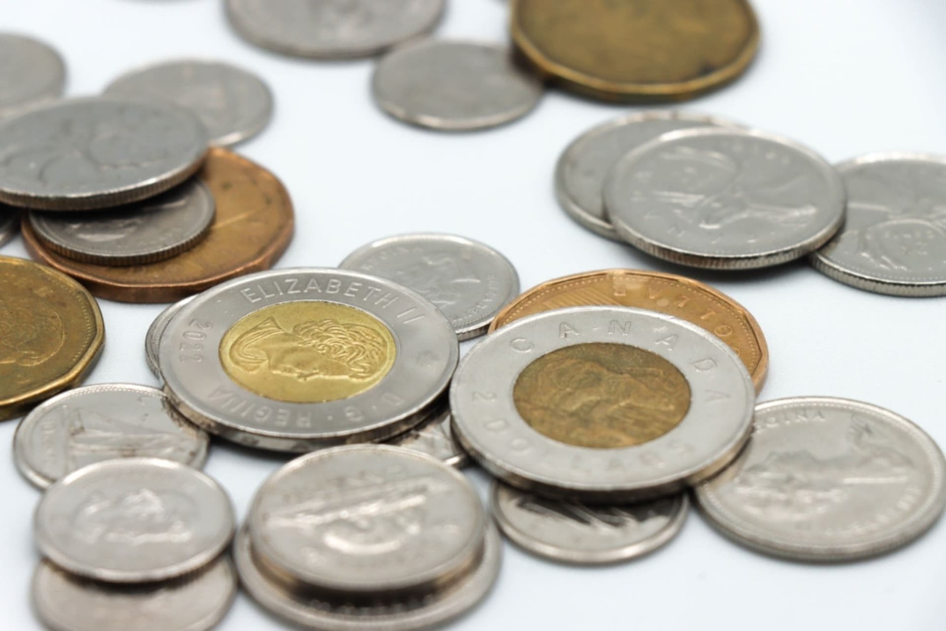 캐나다의 상징 비버가 3D 코인으로 생생하게 부활하다!-이미지