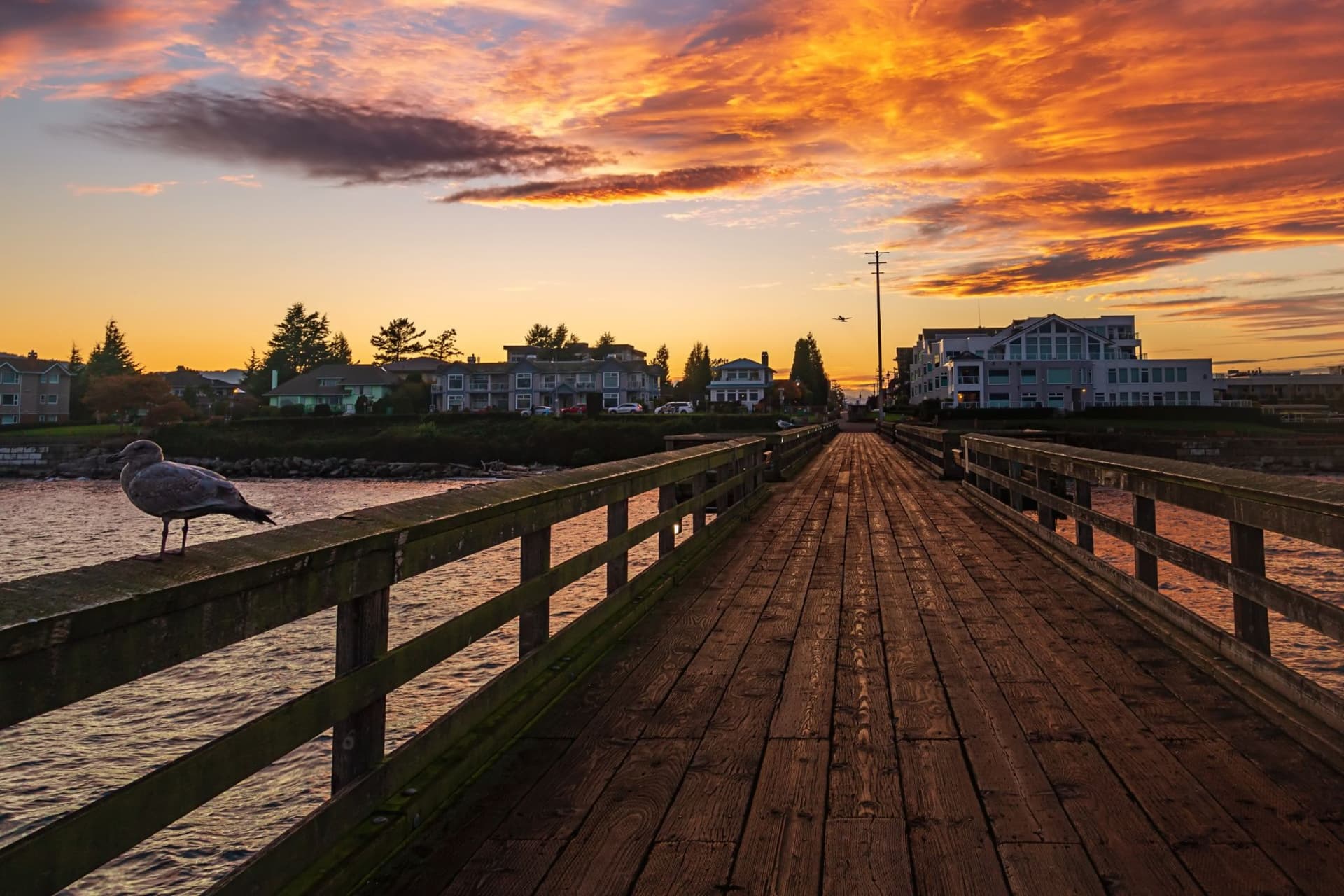 캐나다의 작은 보석, Victoria가 세계 최고의 소도시로 선정된 이유-이미지