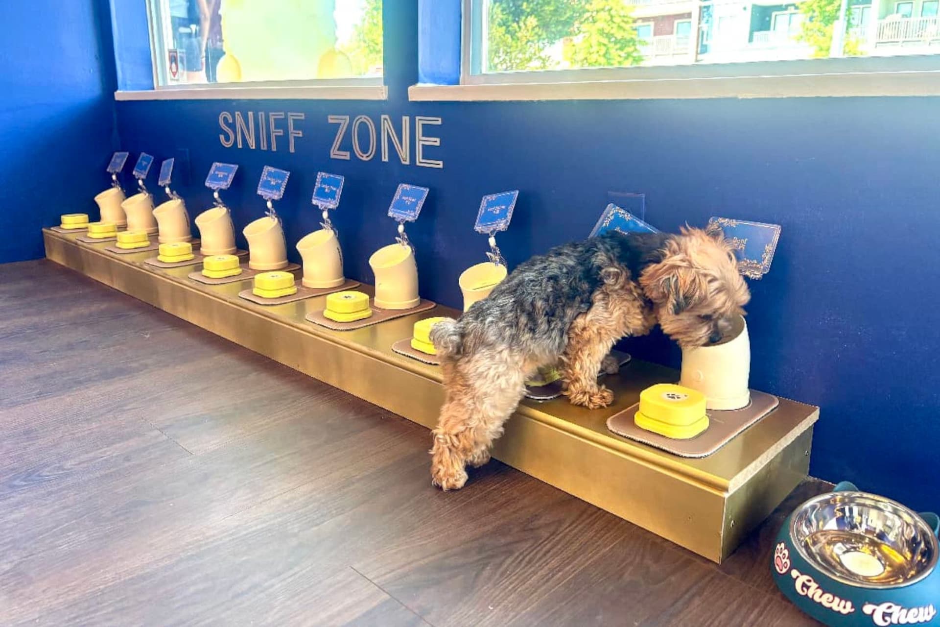 북미 최초 반려동물 핫팟, Richmond에서 갑작스런 폐업 발표-이미지