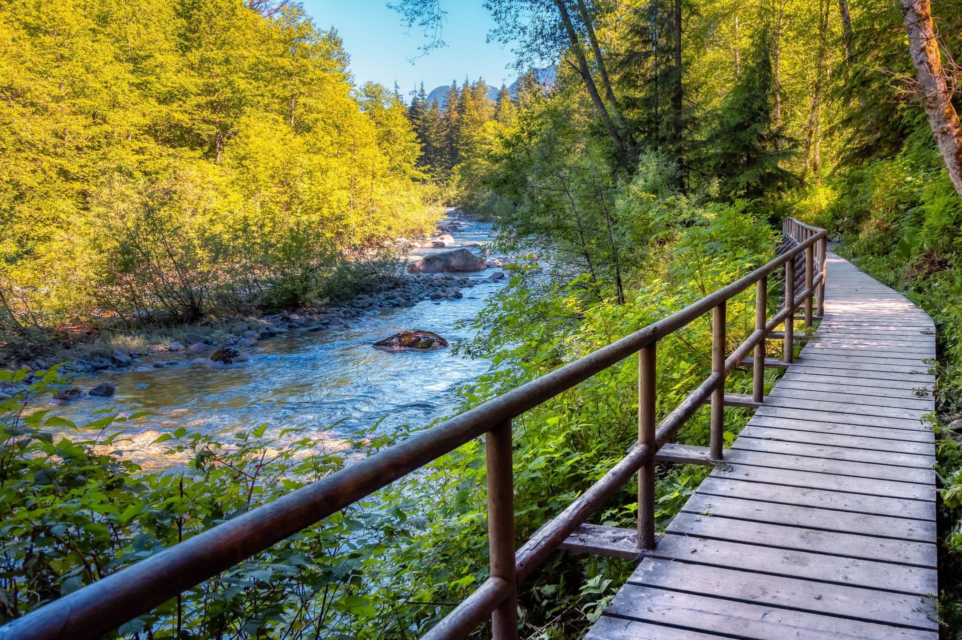 미국 관광객, North Vancouver 절벽에서 추락…경찰, 목격자 수색 중-이미지