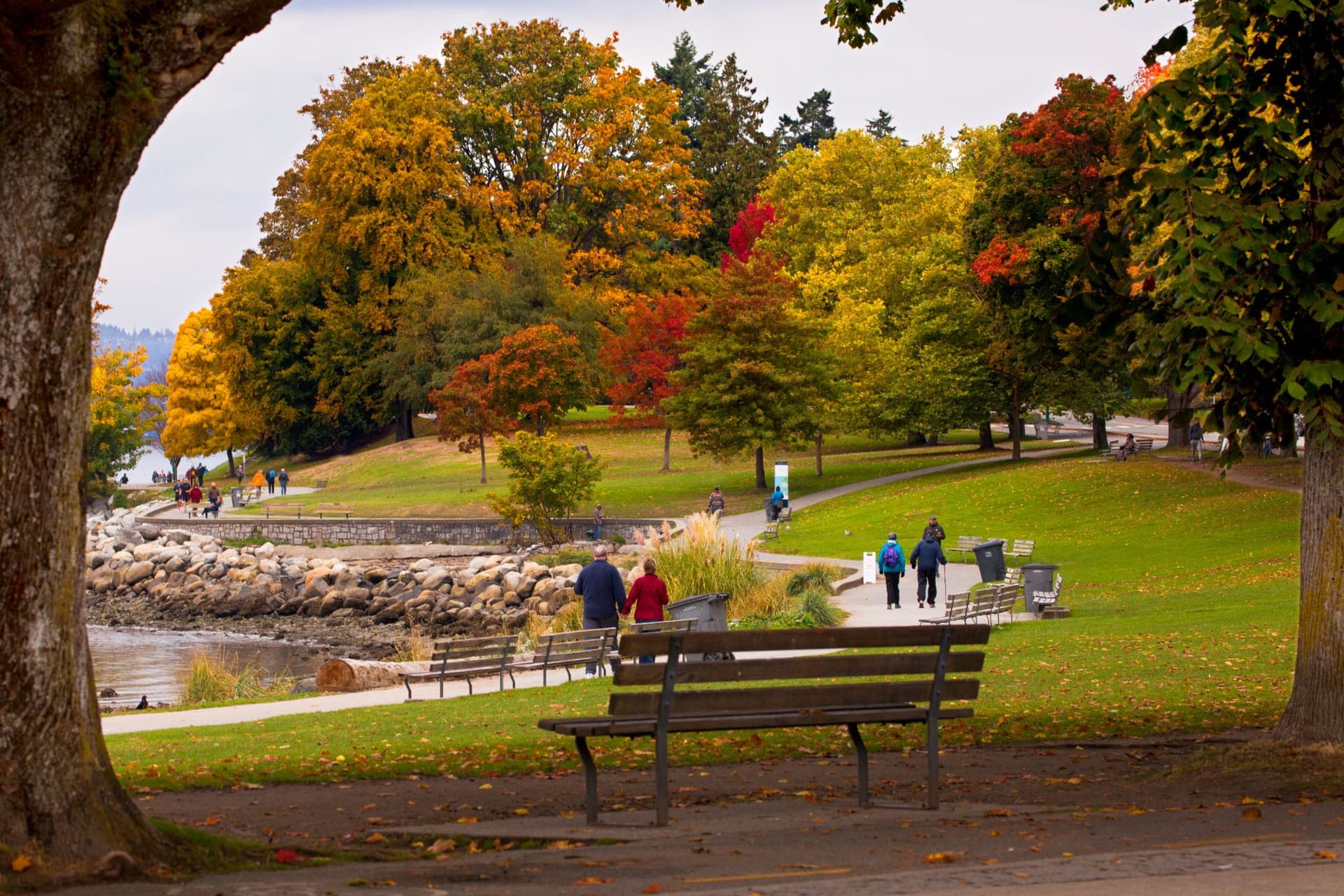 밴쿠버 시민이 결정한다! Park Board 해산 여부, 주민 투표로 가닥-이미지