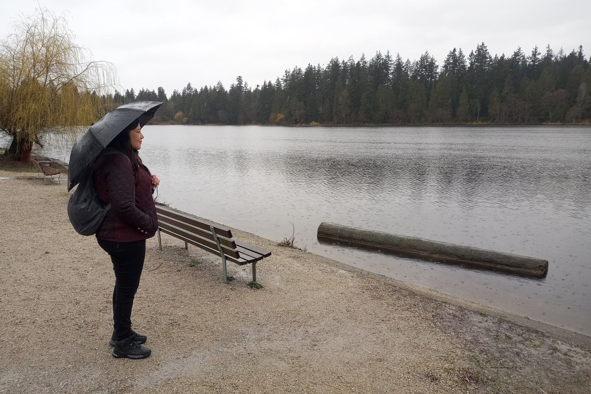 밴쿠버 11월 날씨 예보, 비가 더 자주 내릴 전망-이미지