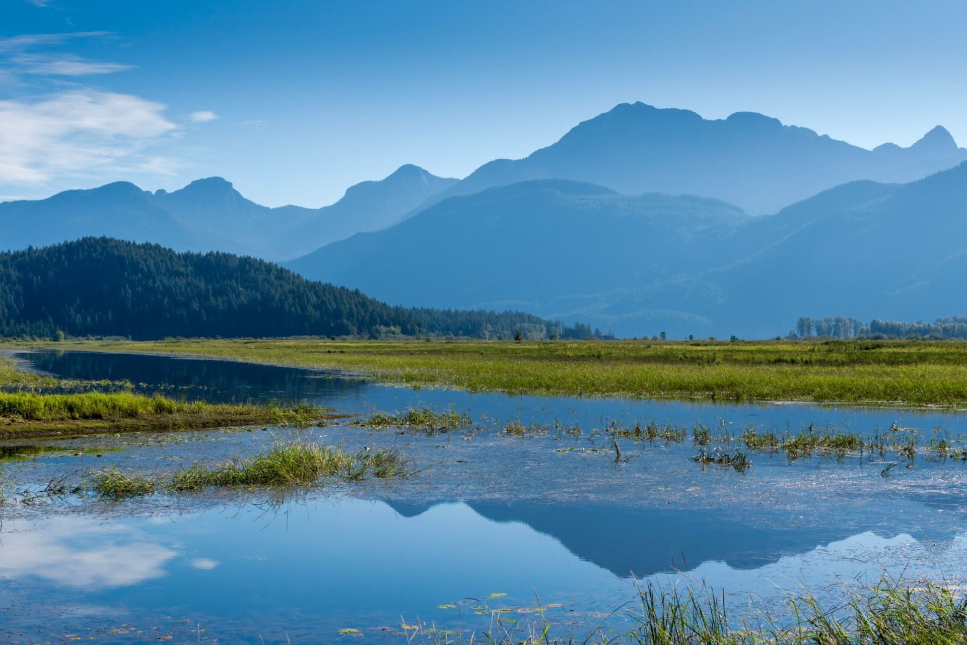 처음으로 공개되는 Metro Vancouver의 숨겨진 보물, Widgeon Marsh Regional Park-이미지