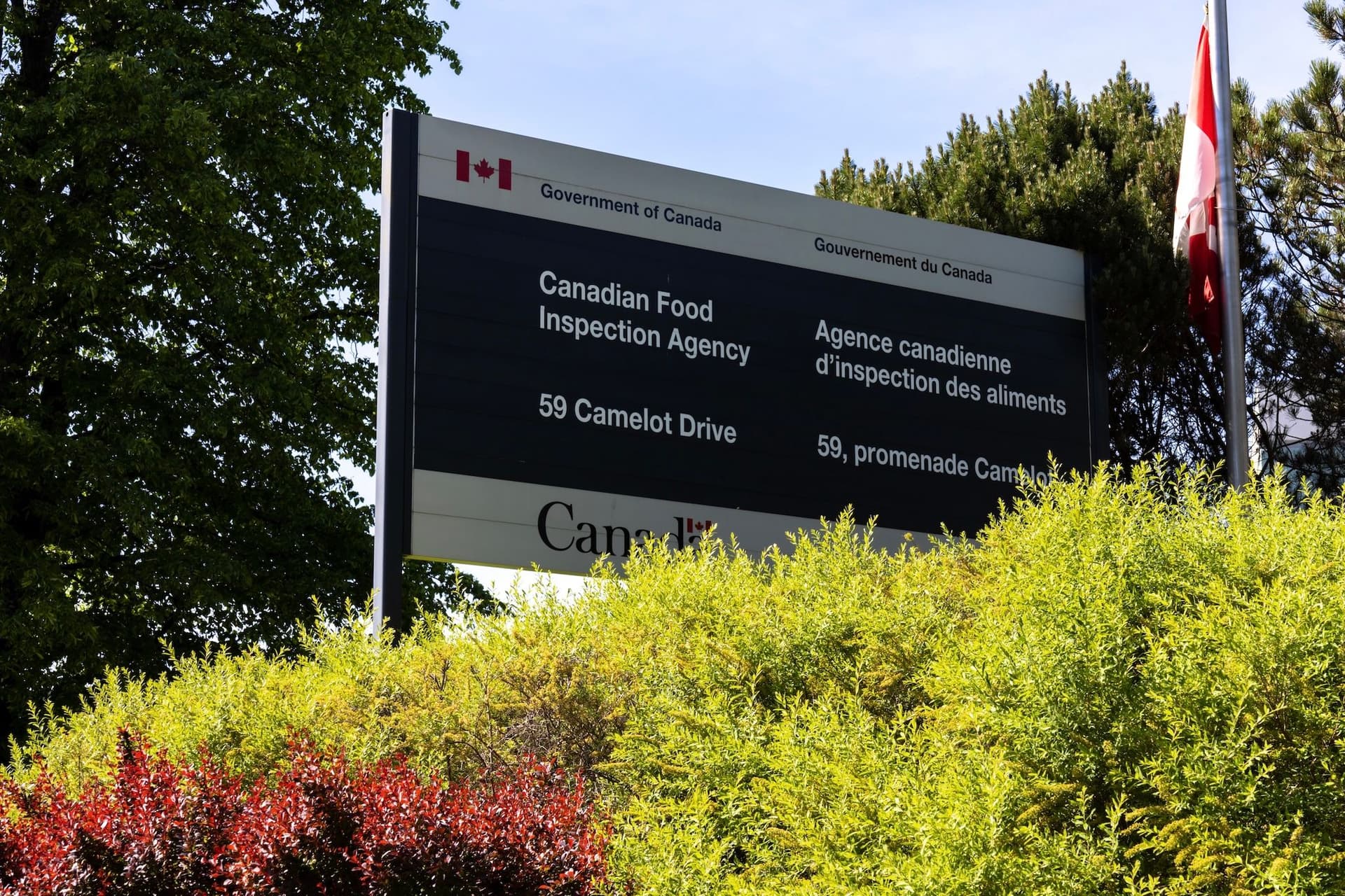 캐나다에서 수프 믹스 리콜 돌풍…벌레 발견으로 식품 안전 경보-이미지