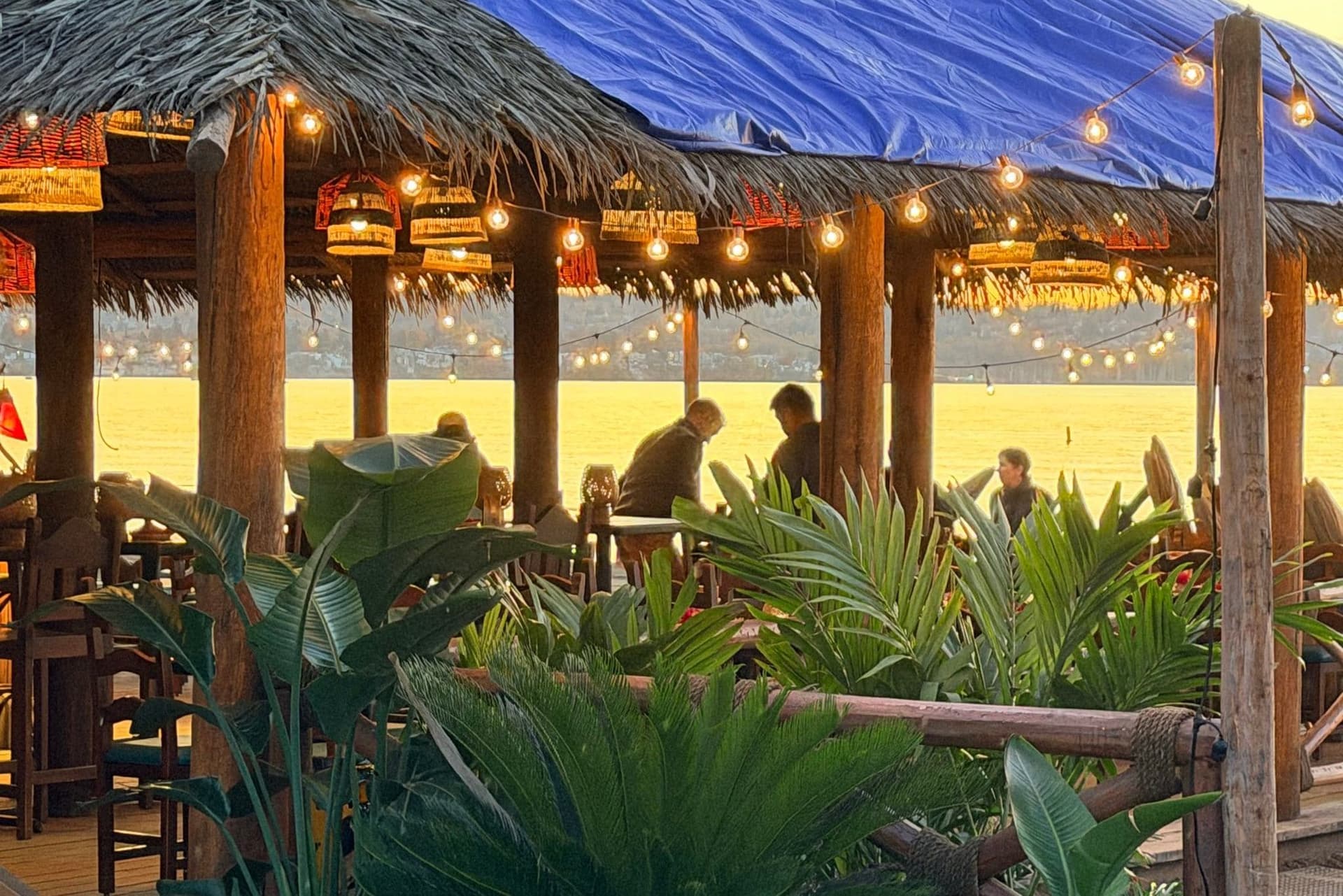 Hollywood 스타들이 Vancouver 해변을 열대 낙원으로 변신시킨 비하인드 스토리-이미지