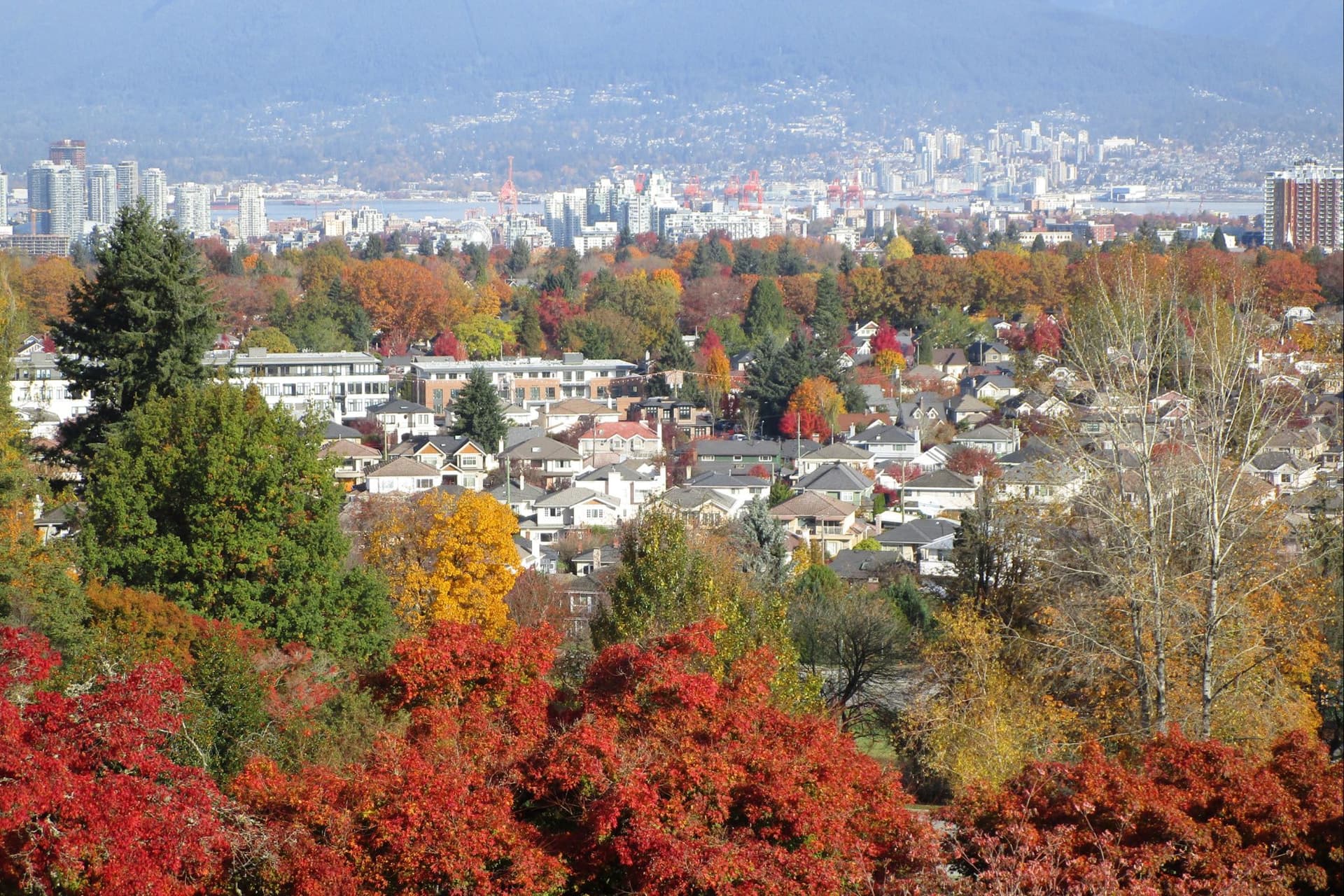 밴쿠버 임대료 하락세가 꺾일까? 최신 데이터로 살펴보는 전망-이미지
