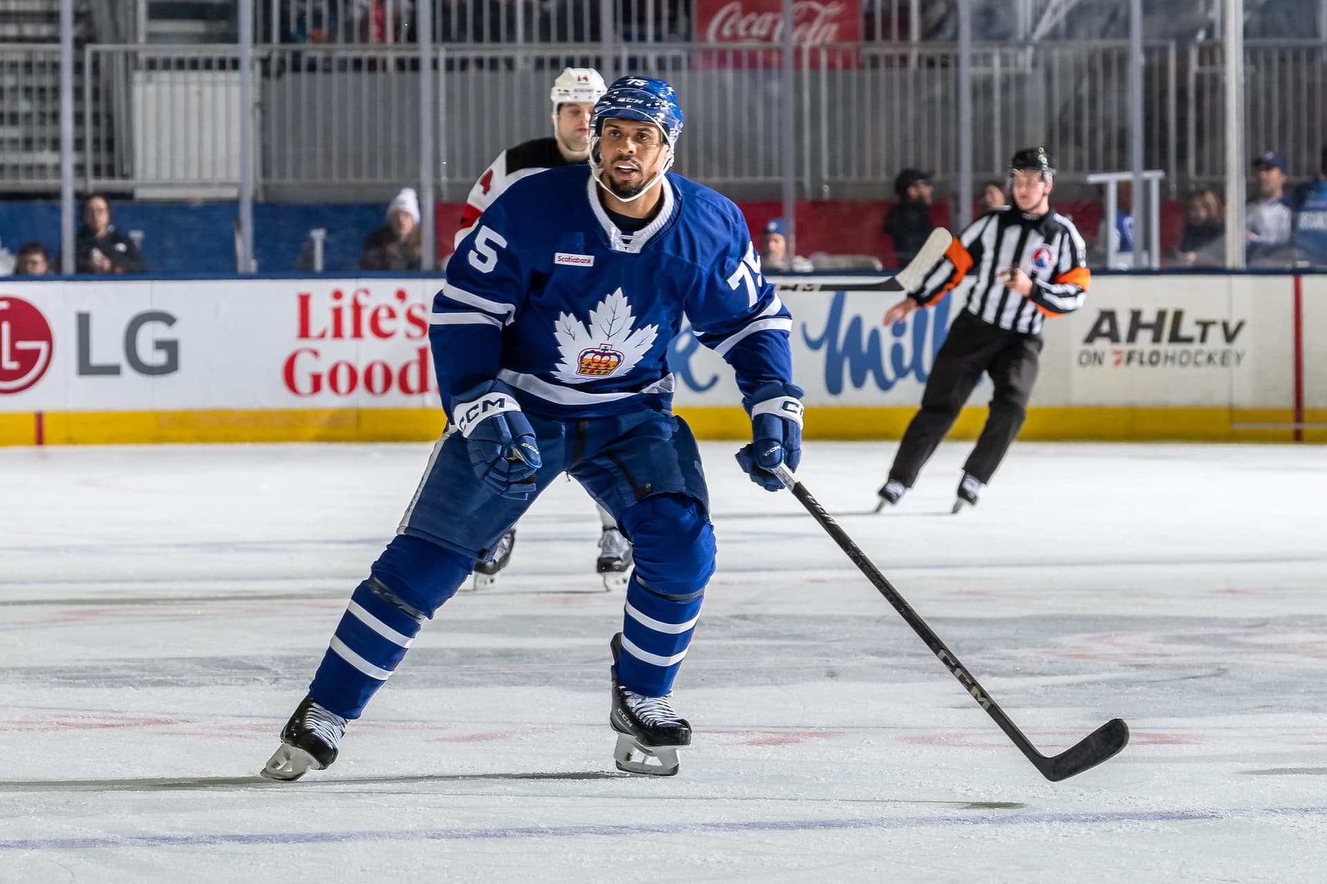 Ryan Reaves, AHL 규칙을 '창의적으로' 우회하다-이미지