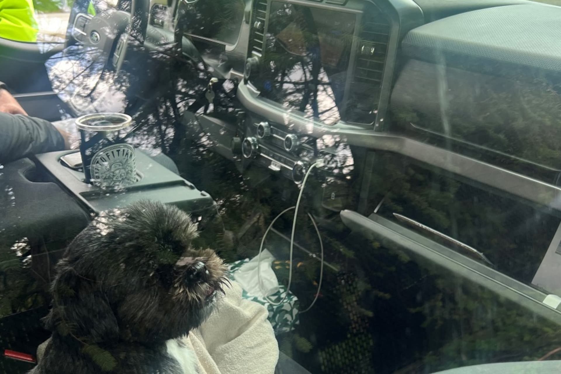 https://images.dailyhive.com/20250415092102/burnaby-driver-dog.jpg