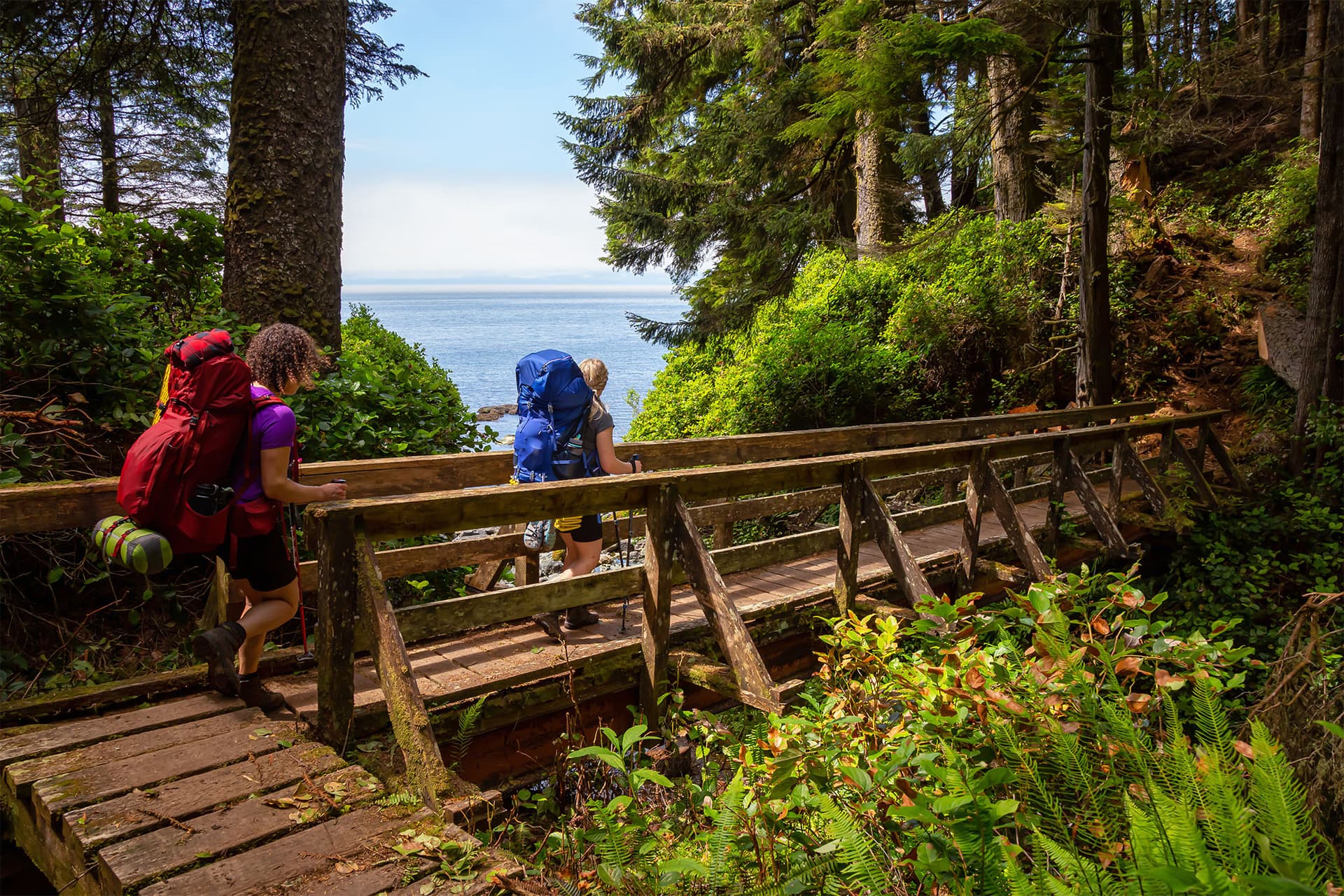 https://images.dailyhive.com/20250417151454/juan-de-fuca-trail.jpg