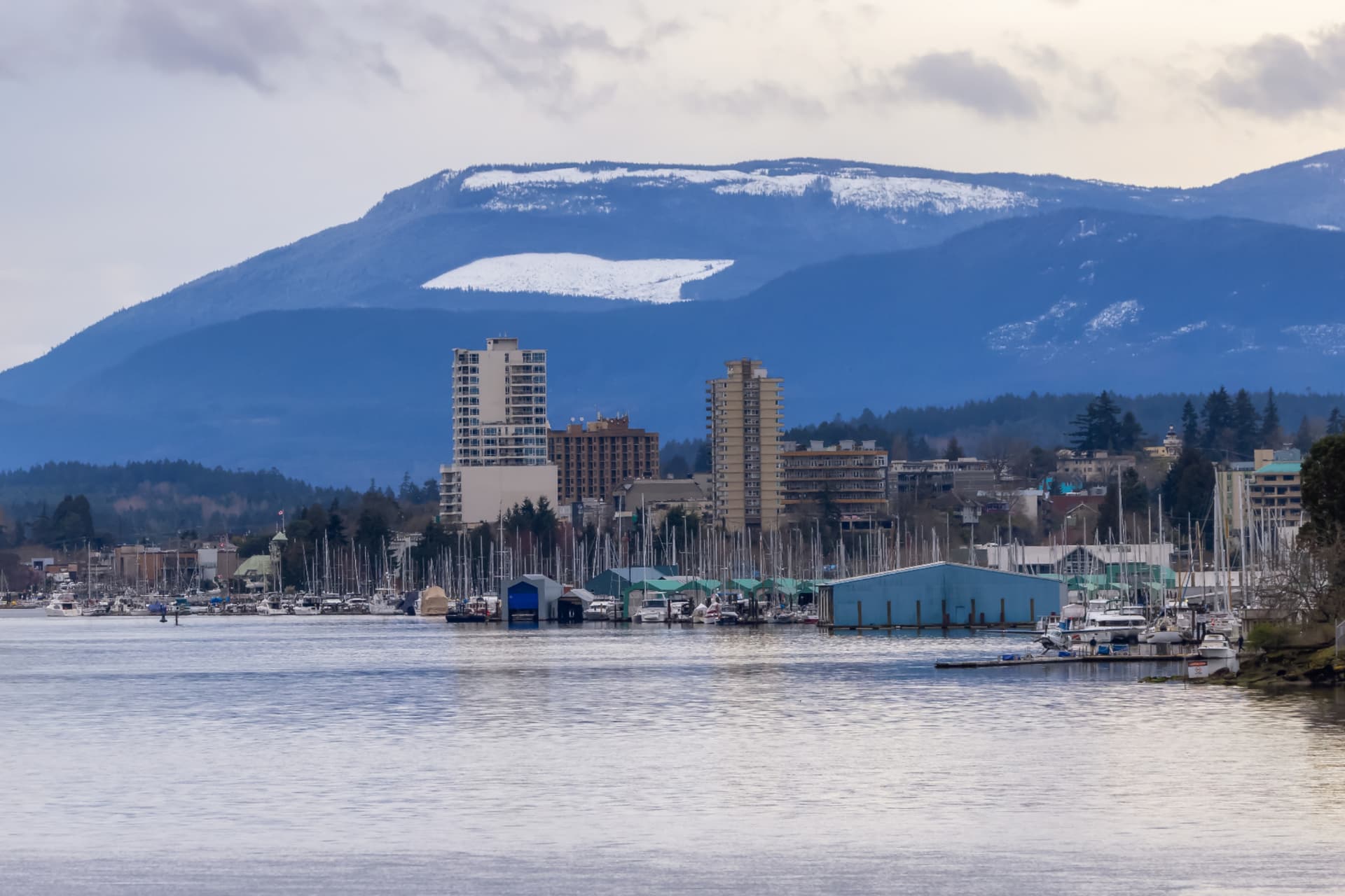 https://images.dailyhive.com/20250424130004/vancouver-island-americans.jpg