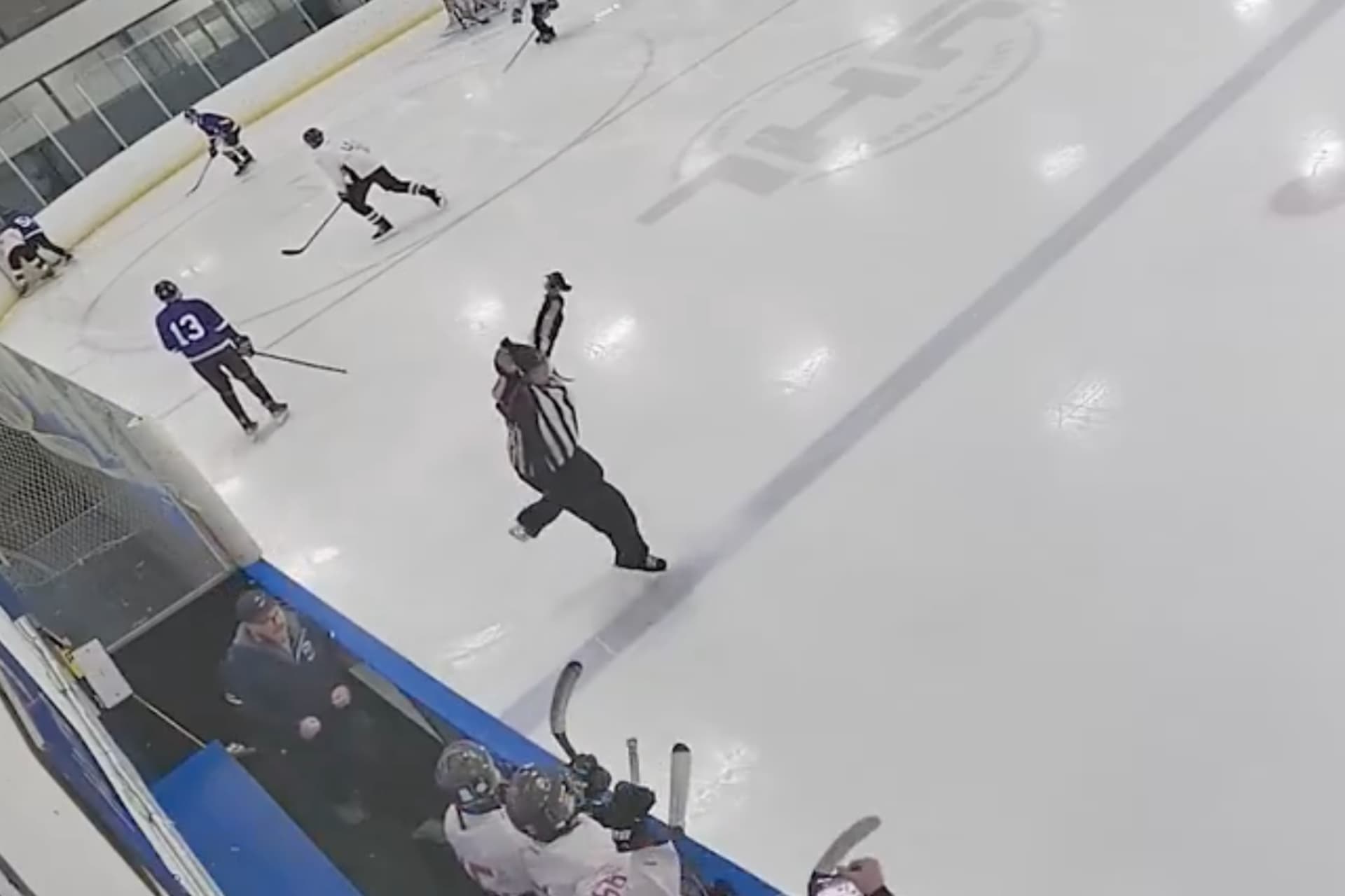 https://images.dailyhive.com/20250505142557/Jets-Referee-Reaction.jpg