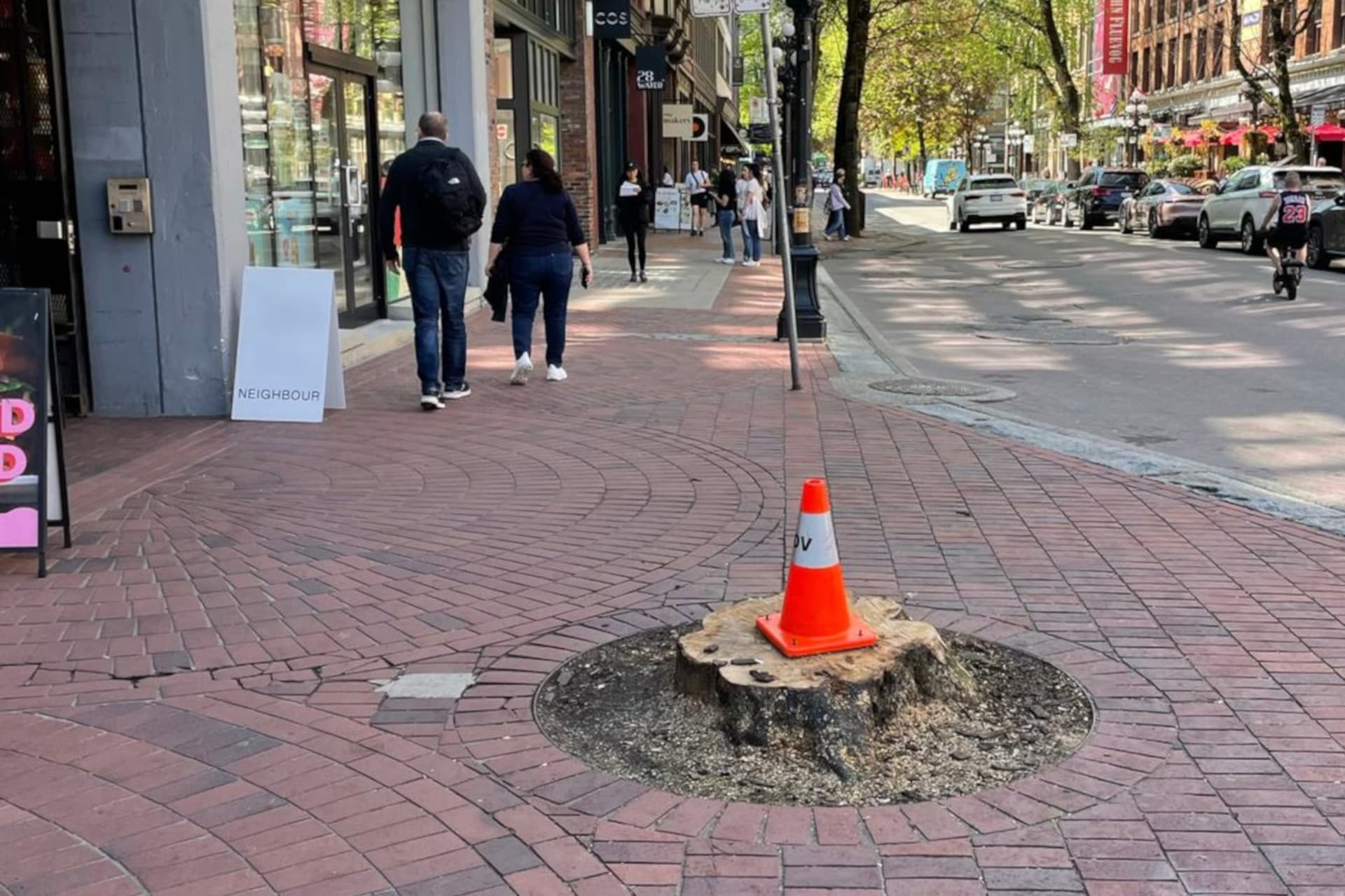 https://images.dailyhive.com/20250506162008/Gastown-trees-cut-down-2.jpg