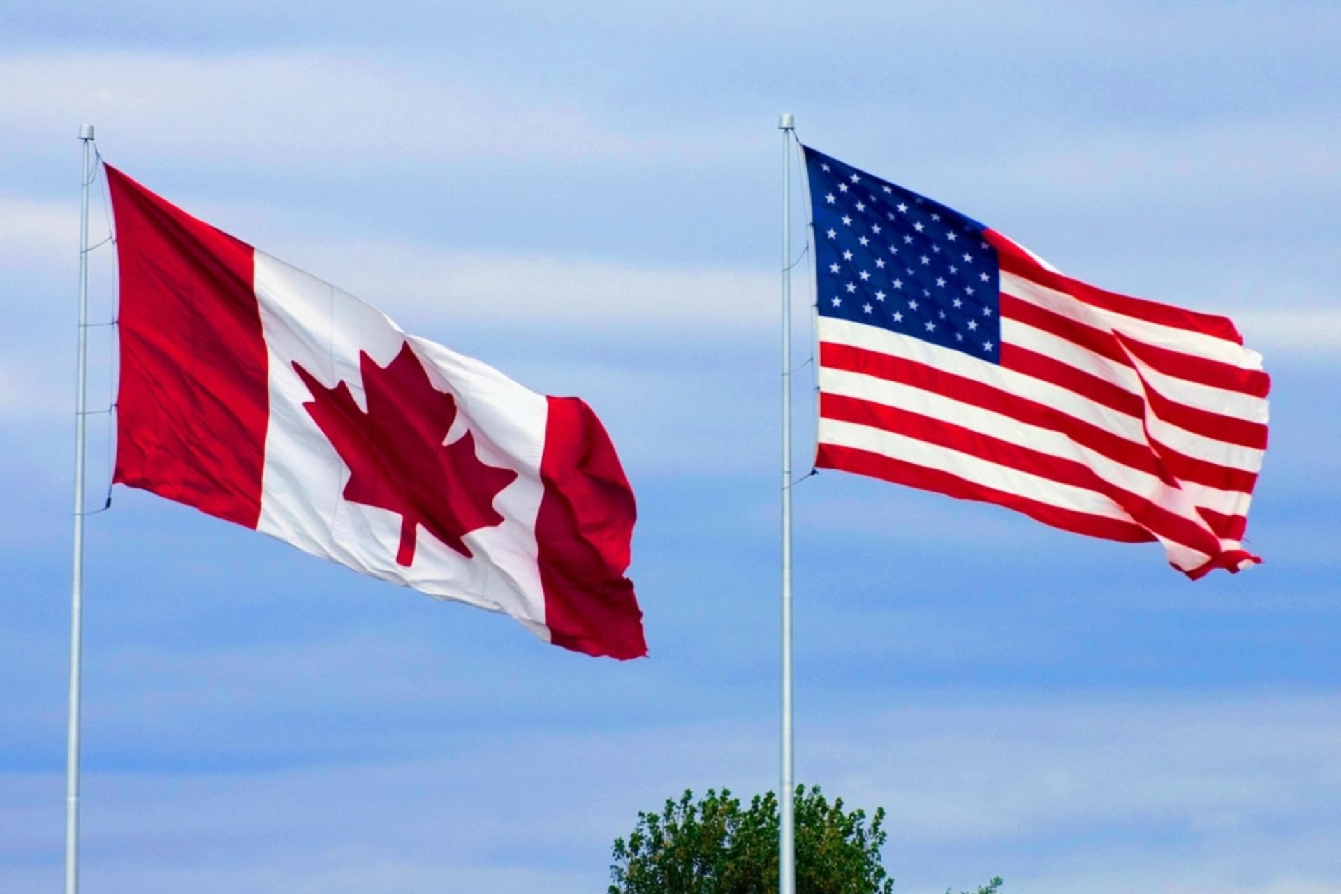 https://images.dailyhive.com/20250513141148/Upped-my-Canadian-patriotism-by-about-5000000-100.jpg