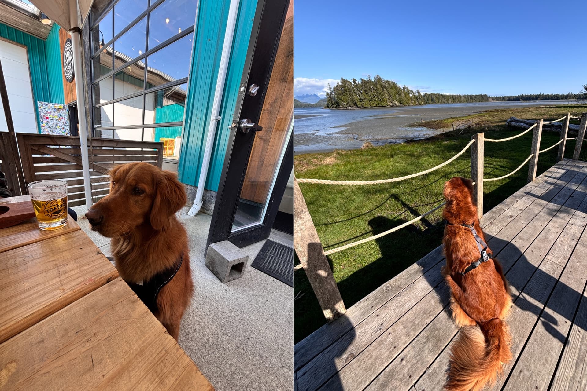 https://images.dailyhive.com/20250523113455/TOFINO-.jpg