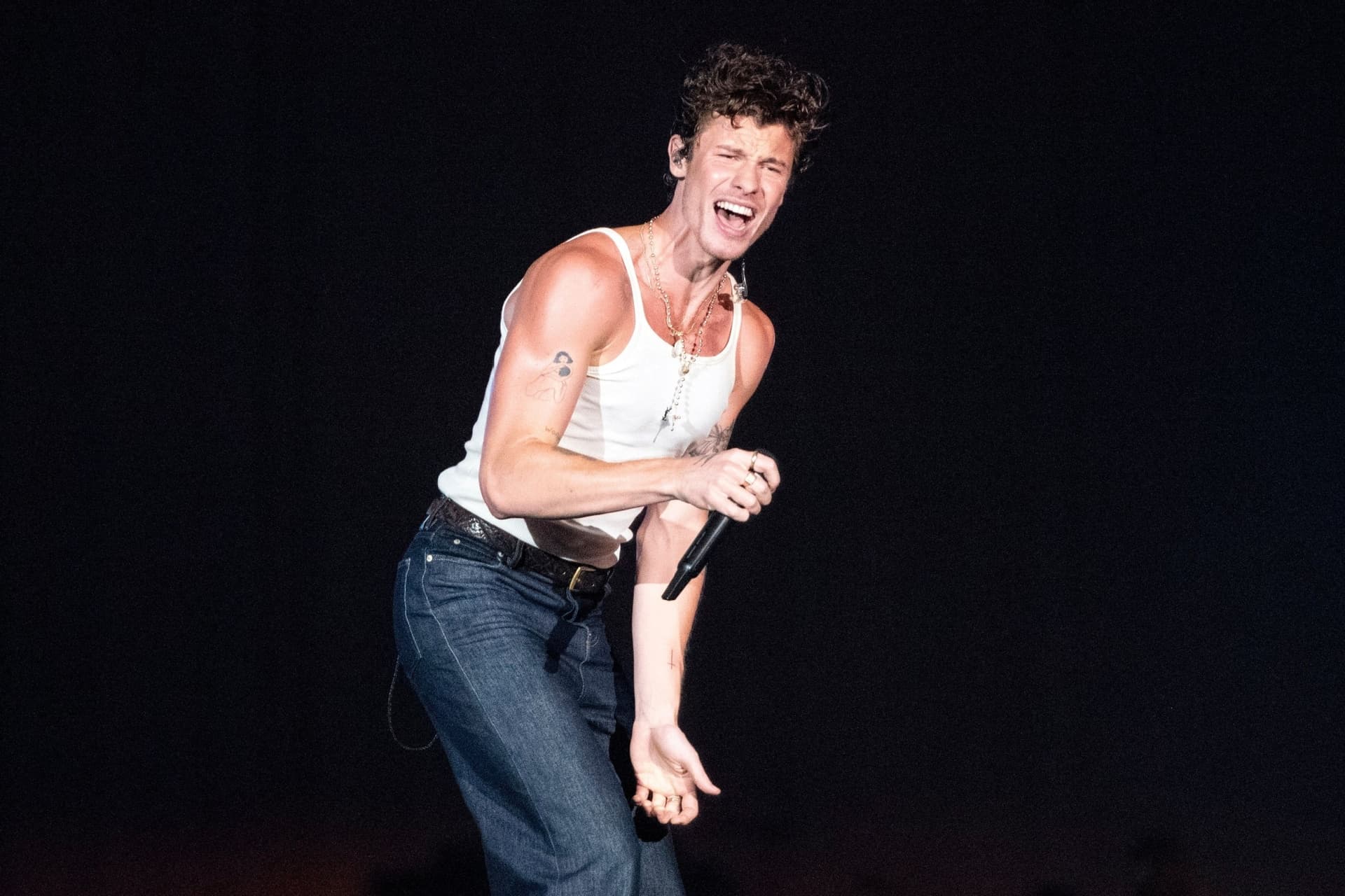 Shawn Mendes, 토론토에서의 감동적인 귀환 콘서트 티켓 판매 시작-이미지
