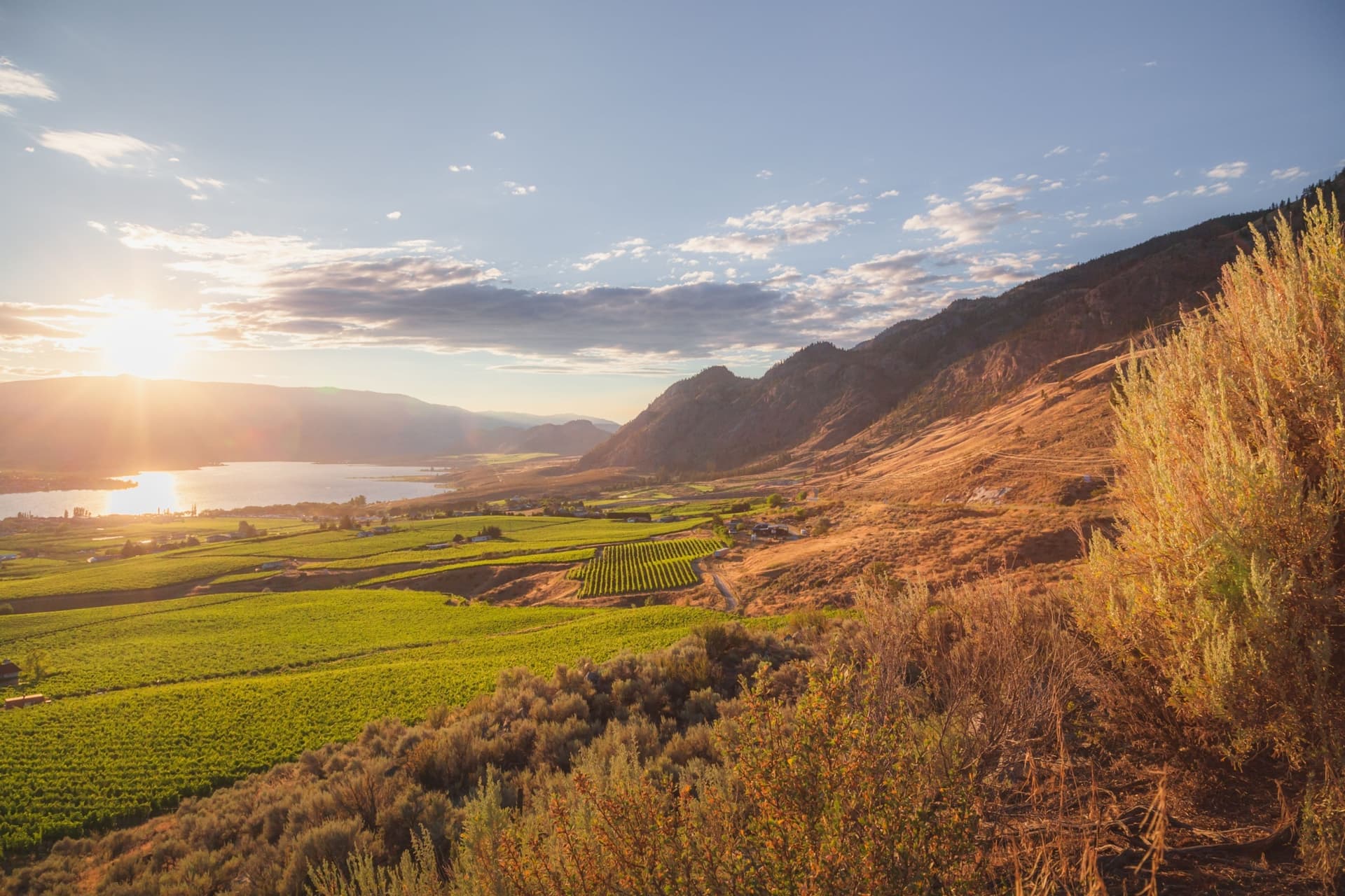 https://images.dailyhive.com/20250616121814/South-Okanagan-.jpg