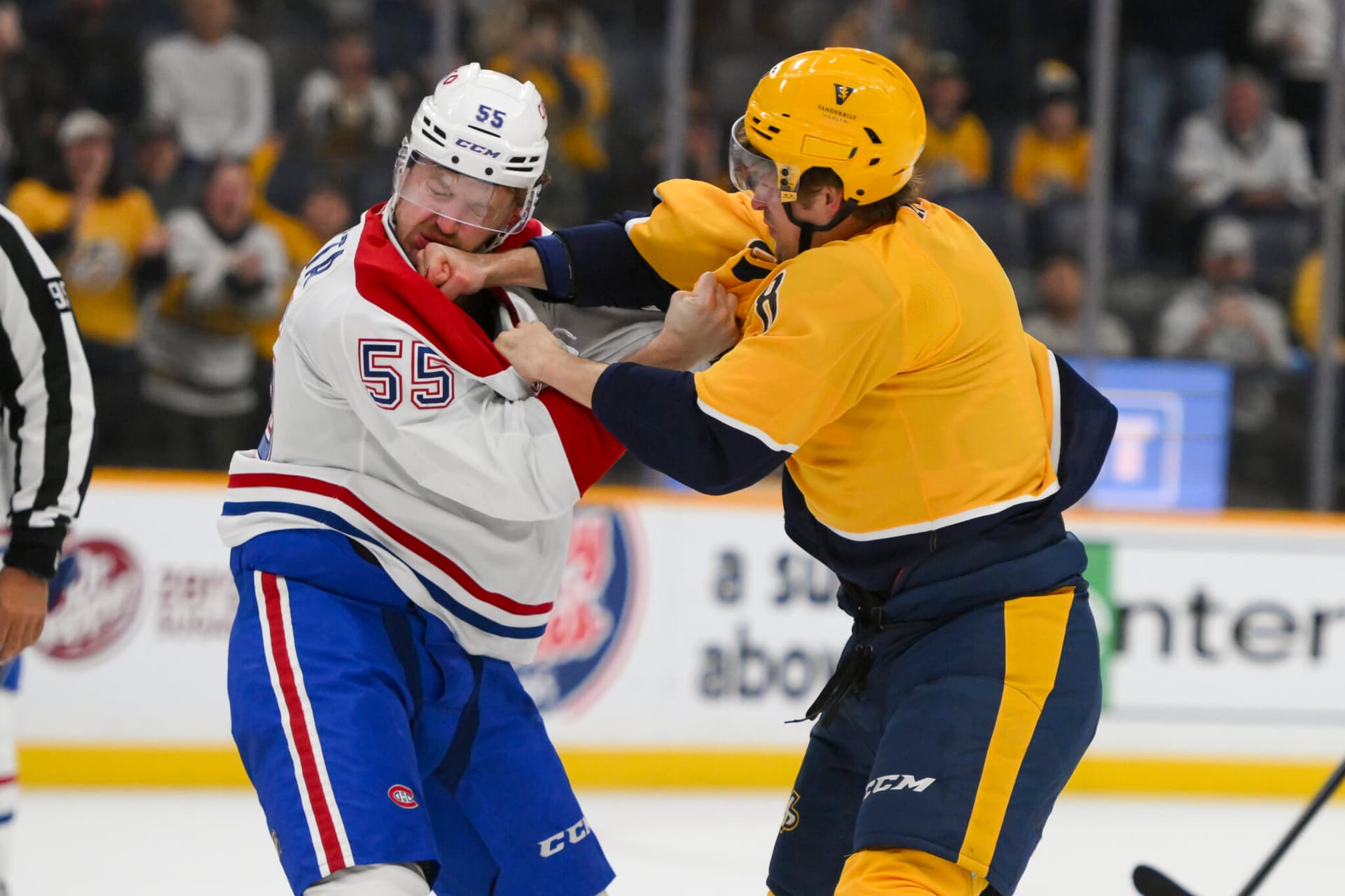 Toronto Maple Leafs, 라이벌 팀 출신 포워드 영입으로 무장 강화-이미지
