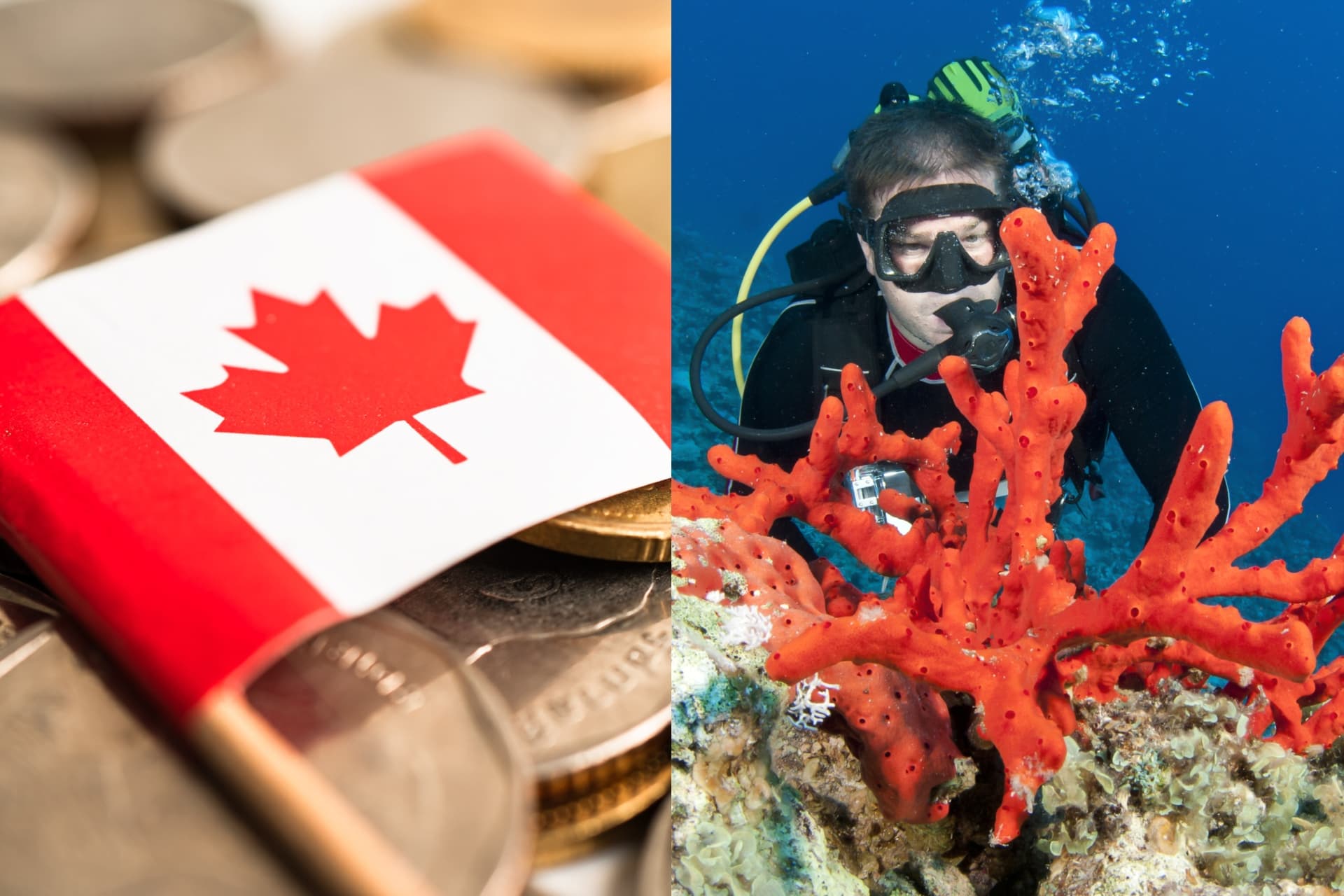 https://images.dailyhive.com/20250703115355/canada-coin.jpg