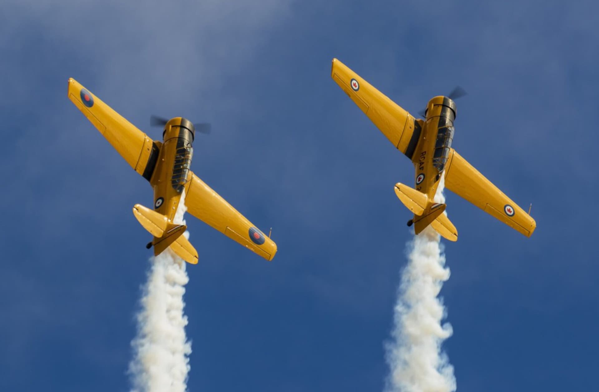 https://images.dailyhive.com/20250708113450/Boundary-Bay-Airshow-2.jpg