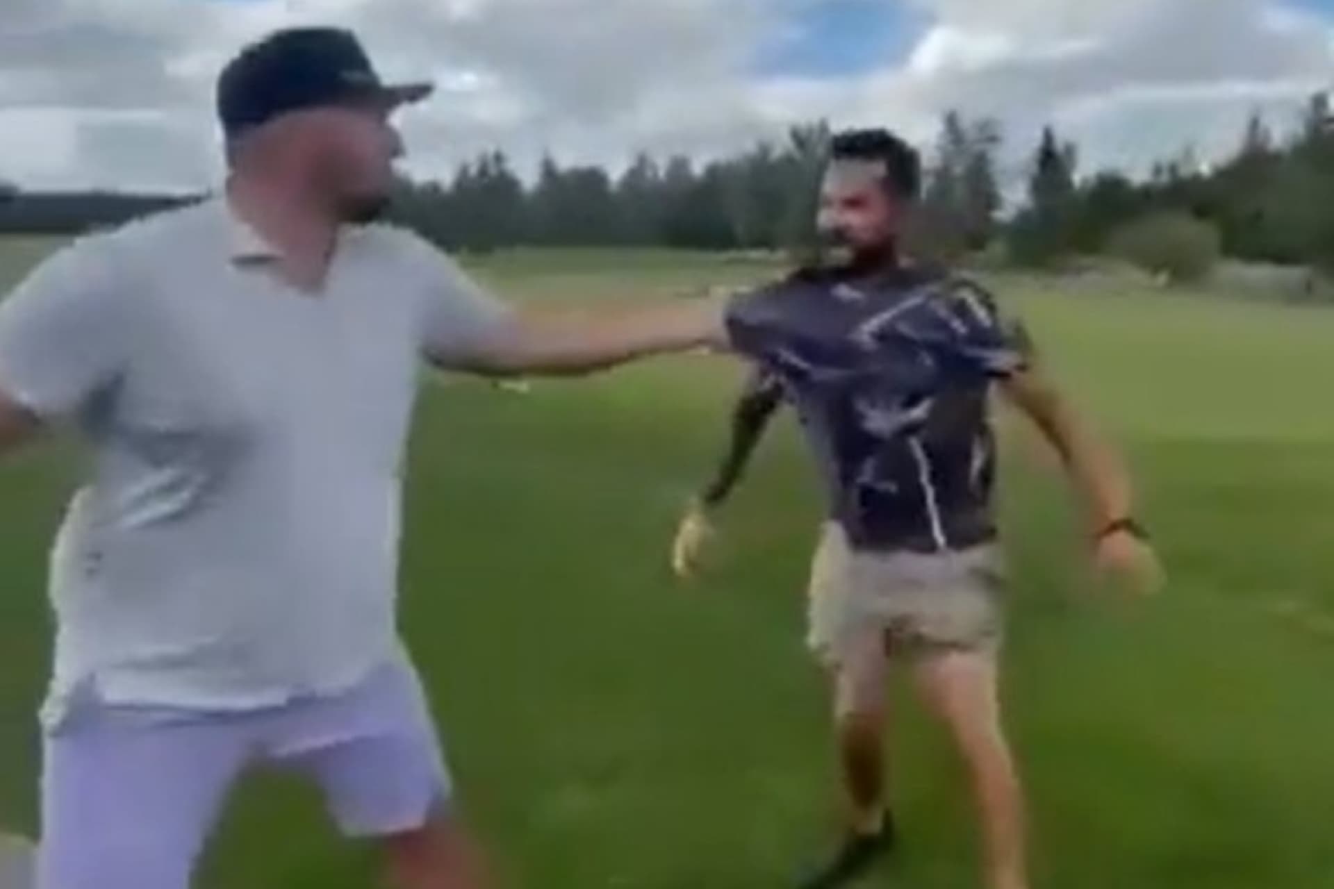 https://images.dailyhive.com/20250712084358/tarnasky-fight.jpg