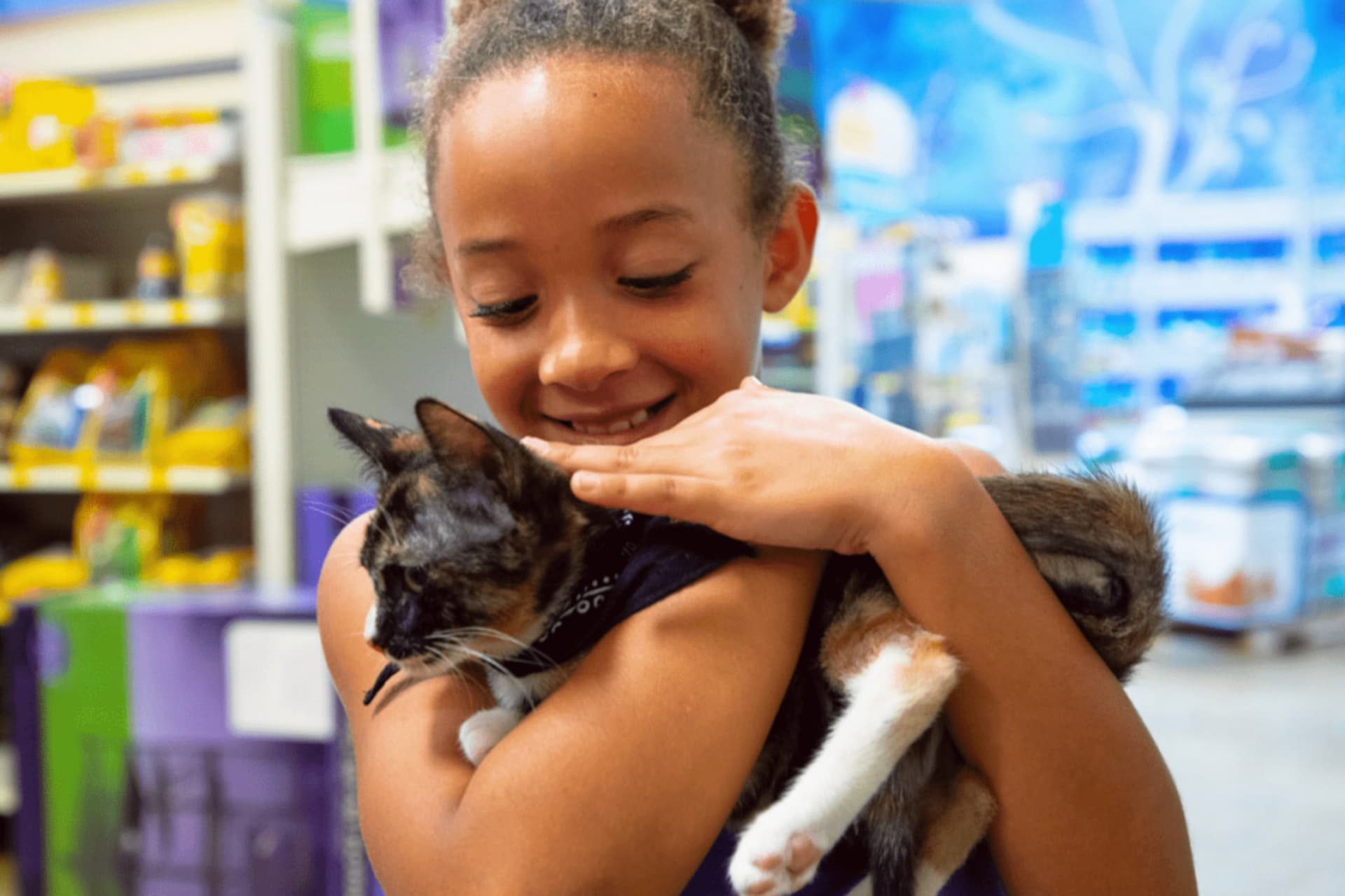 https://images.dailyhive.com/20250715145042/cats.jpg