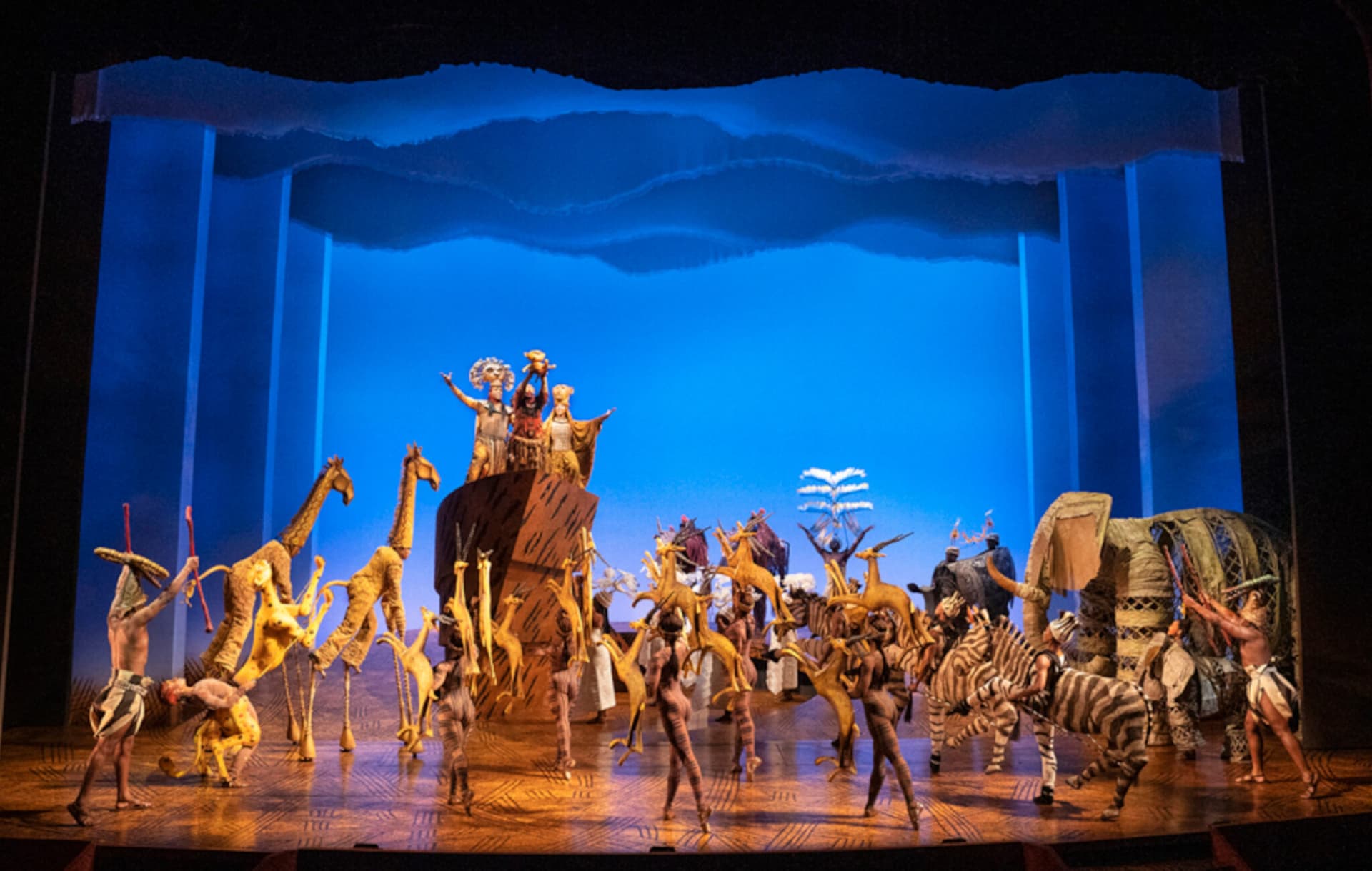 https://images.dailyhive.com/20250728154002/The-Lion-King.jpg