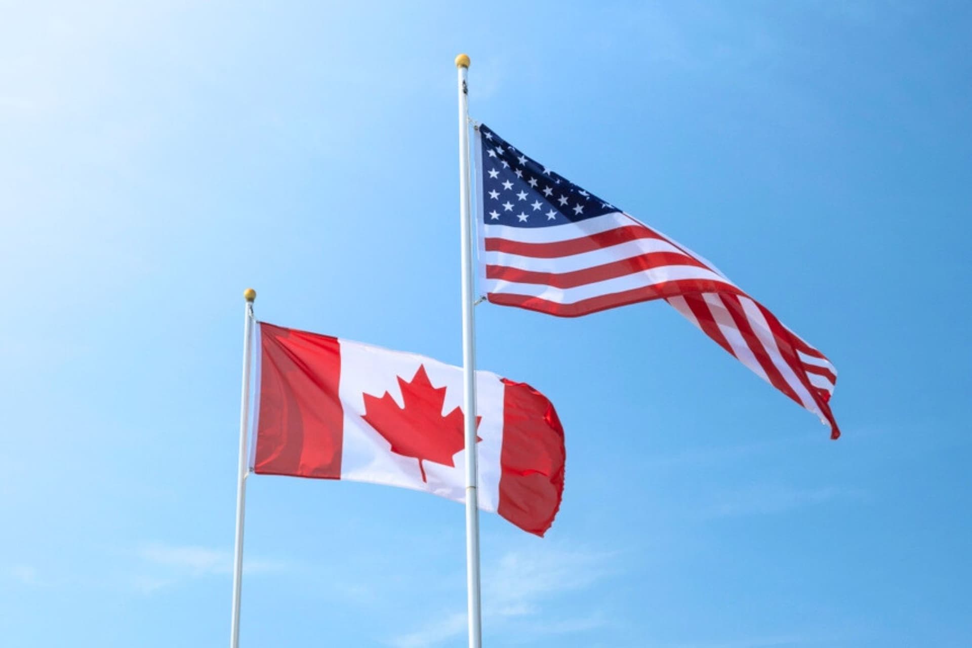 https://images.dailyhive.com/20250729133452/Upped-my-Canadian-patriotism-by-about-5000000-10.jpg
