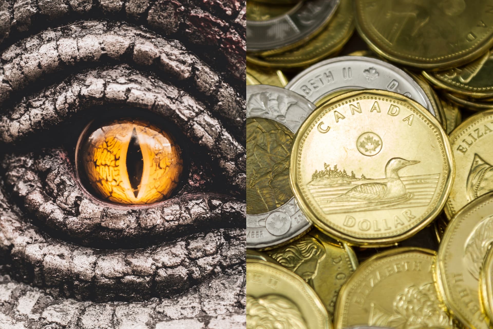 https://images.dailyhive.com/20250805081718/jurassic-park.jpg