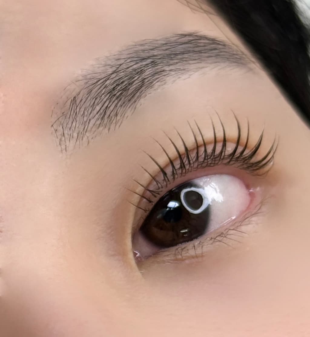 11월-속눈썹-펌-모델-구합니다선착순-8IxzD-이미지