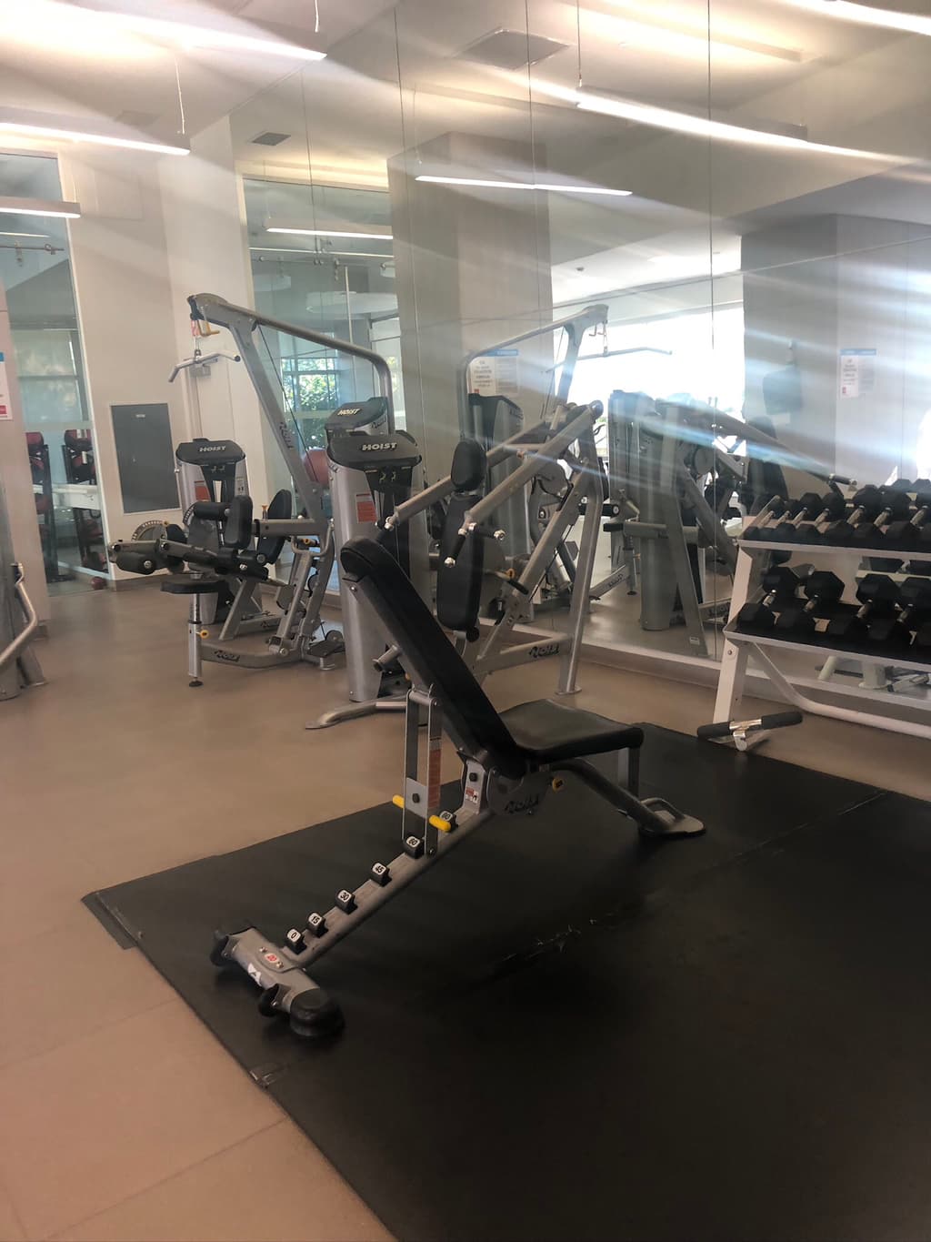 ✨4688Kingsway 스카이트레인5-7분,메트로몰 걸어서 3분거리. 덴 렌트 – 여자만/총 두명만살아요+순한 소형토이푸들🐶✨ 썸네일