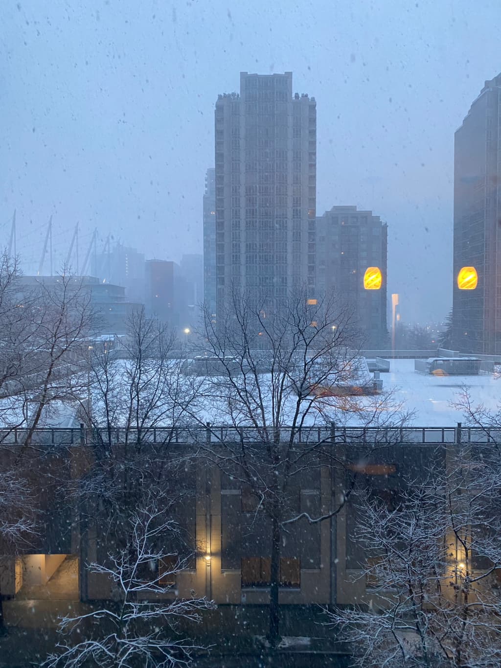 다운타운 예일타운 최고 입지 정남향 전체 렌트 (12월 1일 ~ 12월 31일) 썸네일