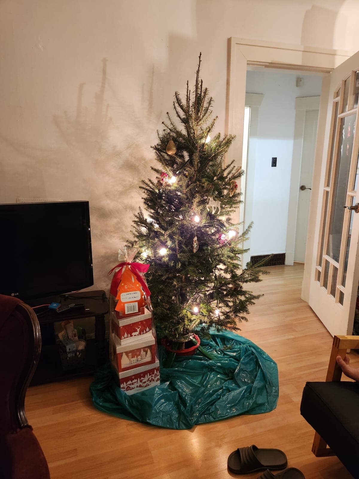 !* Cool roommates and landlord in lovely house in East Van *! 썸네일