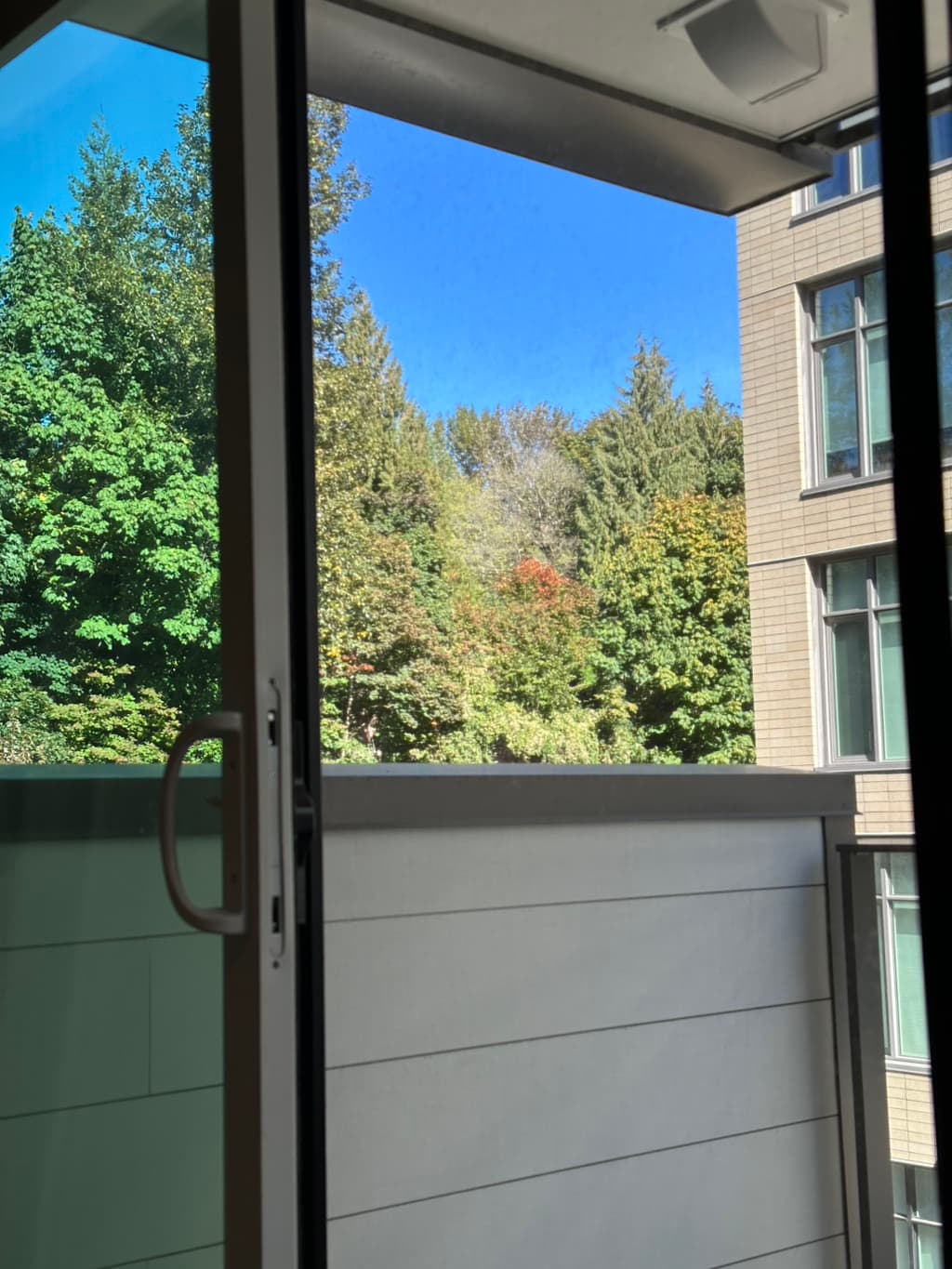 River District 신축 렌트 ] 11/1 입주(조정가능)스튜디오+덴 2인 가능 $1885, 펫프렌들리 썸네일