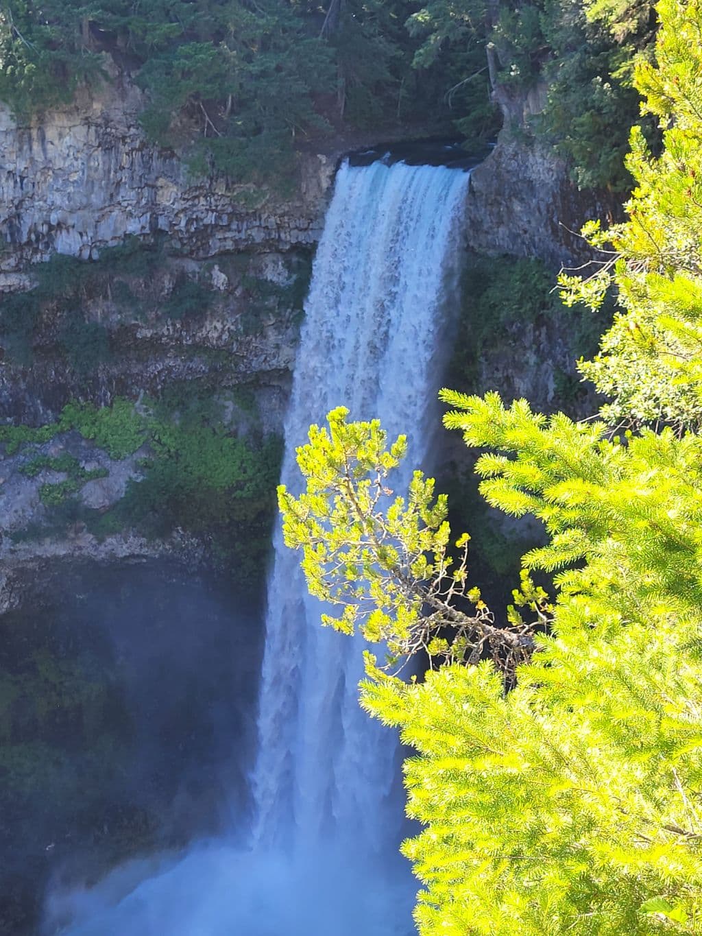 ²-인지도-1위-공항픽업-파격가-할인시내관광-조프리-휘슬러-빅토리아-씨애틀-온천-소형이사-IKEA-페리-778-323-2655-7zpdj-이미지