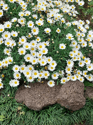 (10월 입주)룸렌트 썸네일