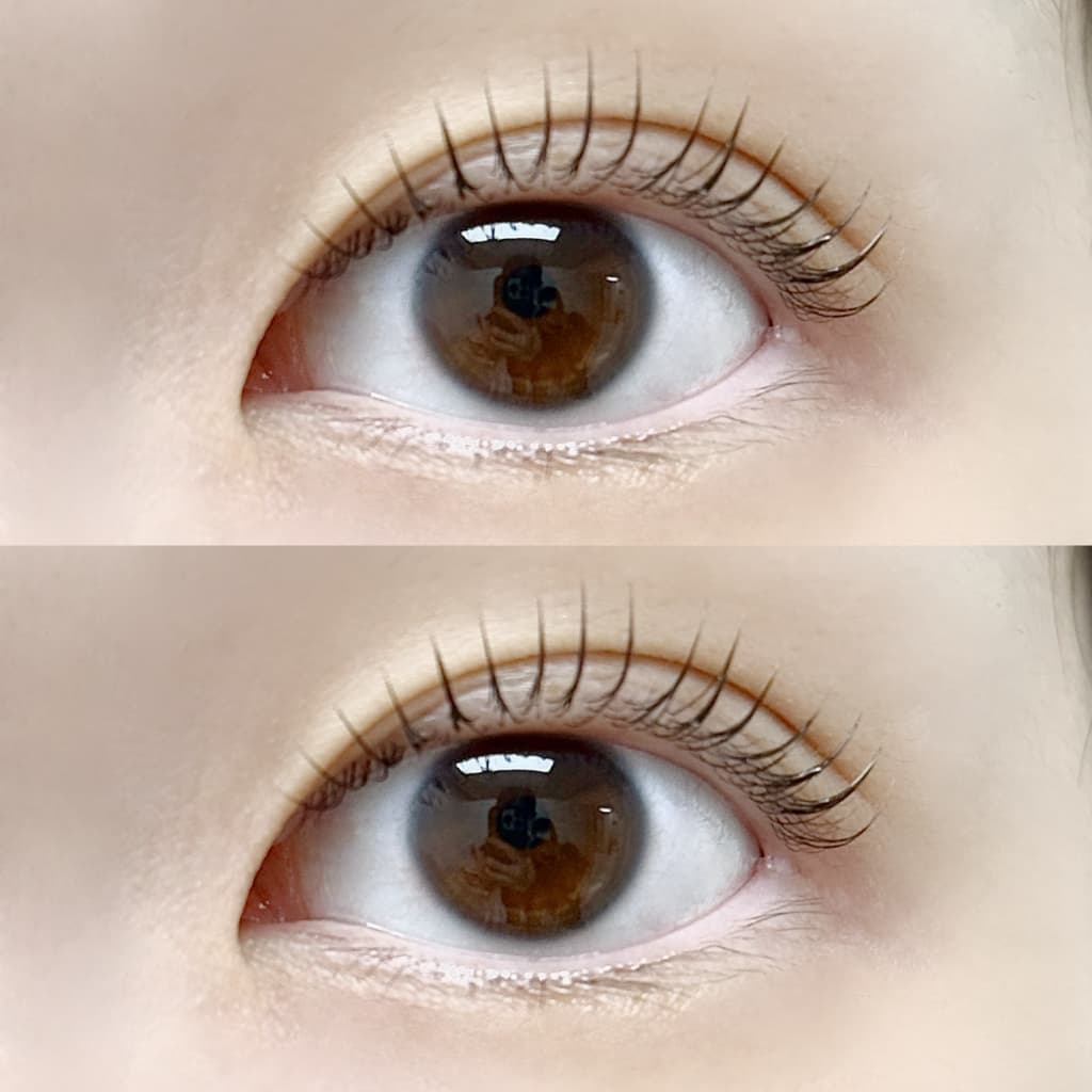 ✨무료✨11월 속눈썹 펌 모델 구합니다(선착순)-이미지