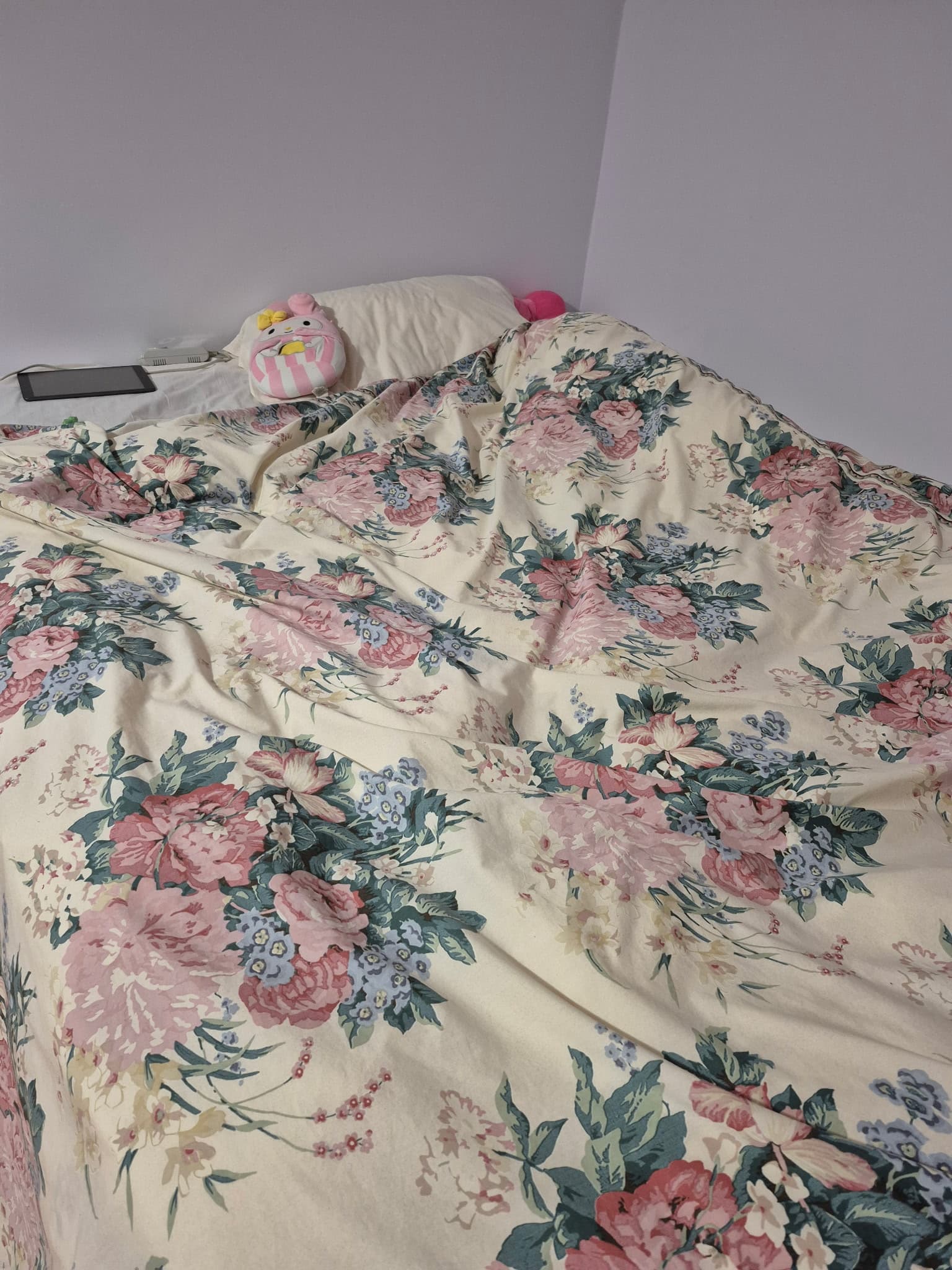 Furnished Large Room for Rent 썸네일