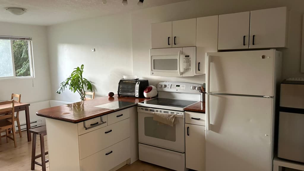 코퀴센터 1월입주 여성만 700-900 썸네일