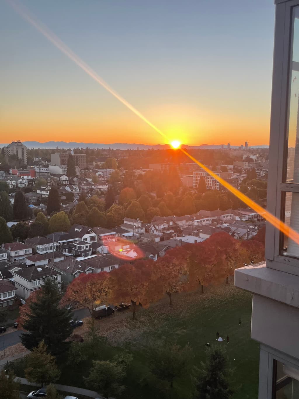 🌠조이스 콘도 11~12월 3주 렌트합니다 썸네일