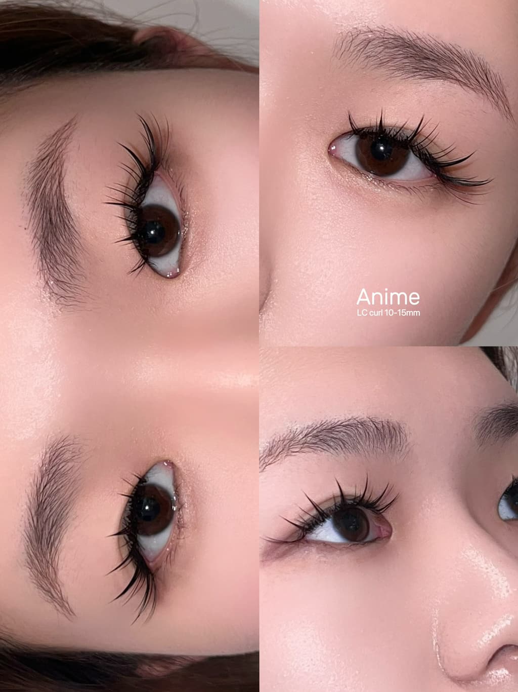 로히드 속눈썹 연장 / 펌 모델 구합니다!-이미지