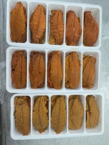 12-Fresh-Uni-110g-this-week-only-123-126-IebU1-이미지