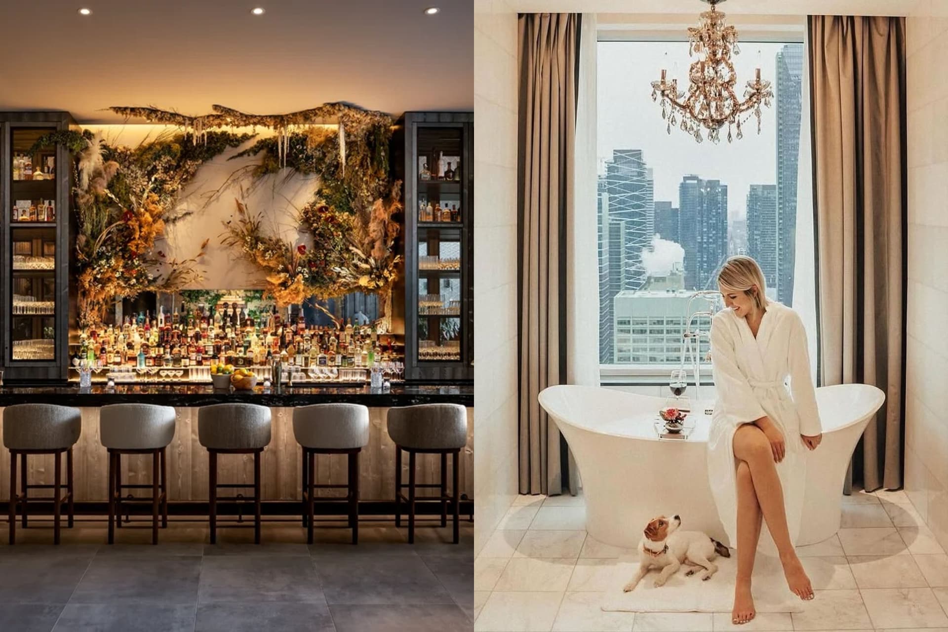 https://display.dailyhive.com/uploads/2025/10/hotels-canada-1.jpg