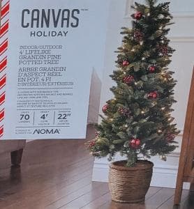 트리-화분-nT3xb-이미지